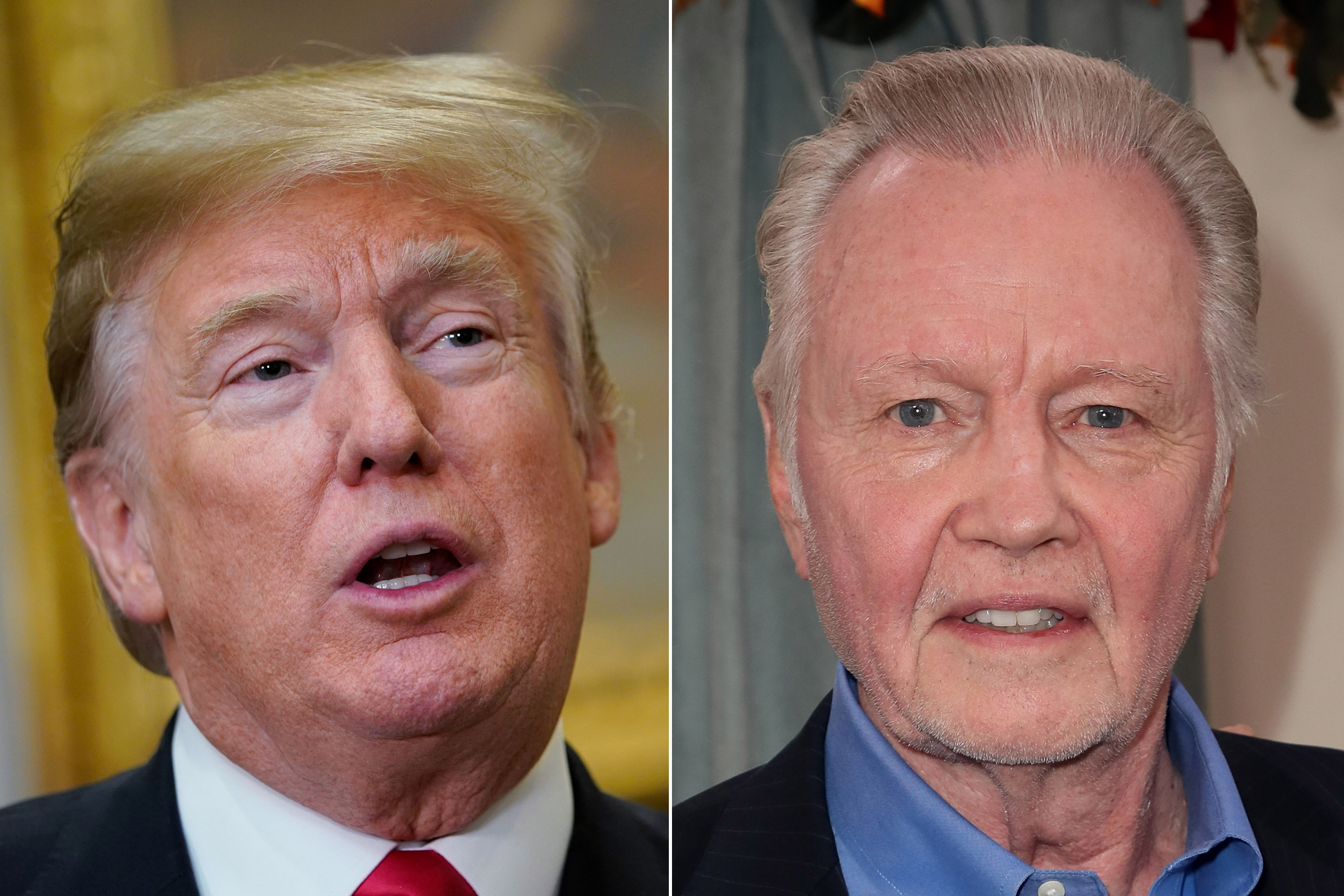 Donald Trump and Jon Voight.