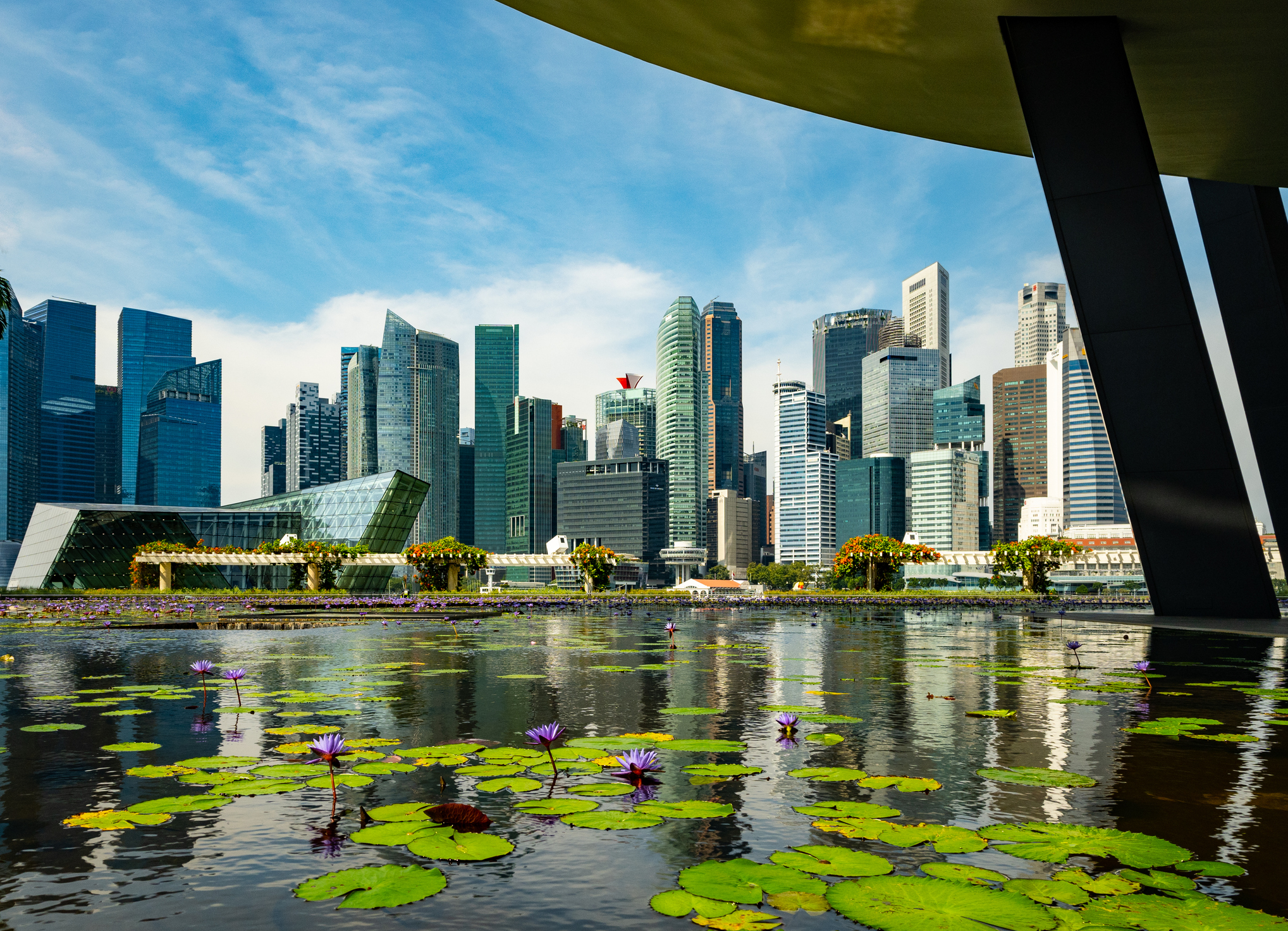View of Singapore City Skyline with Pond in Foreground