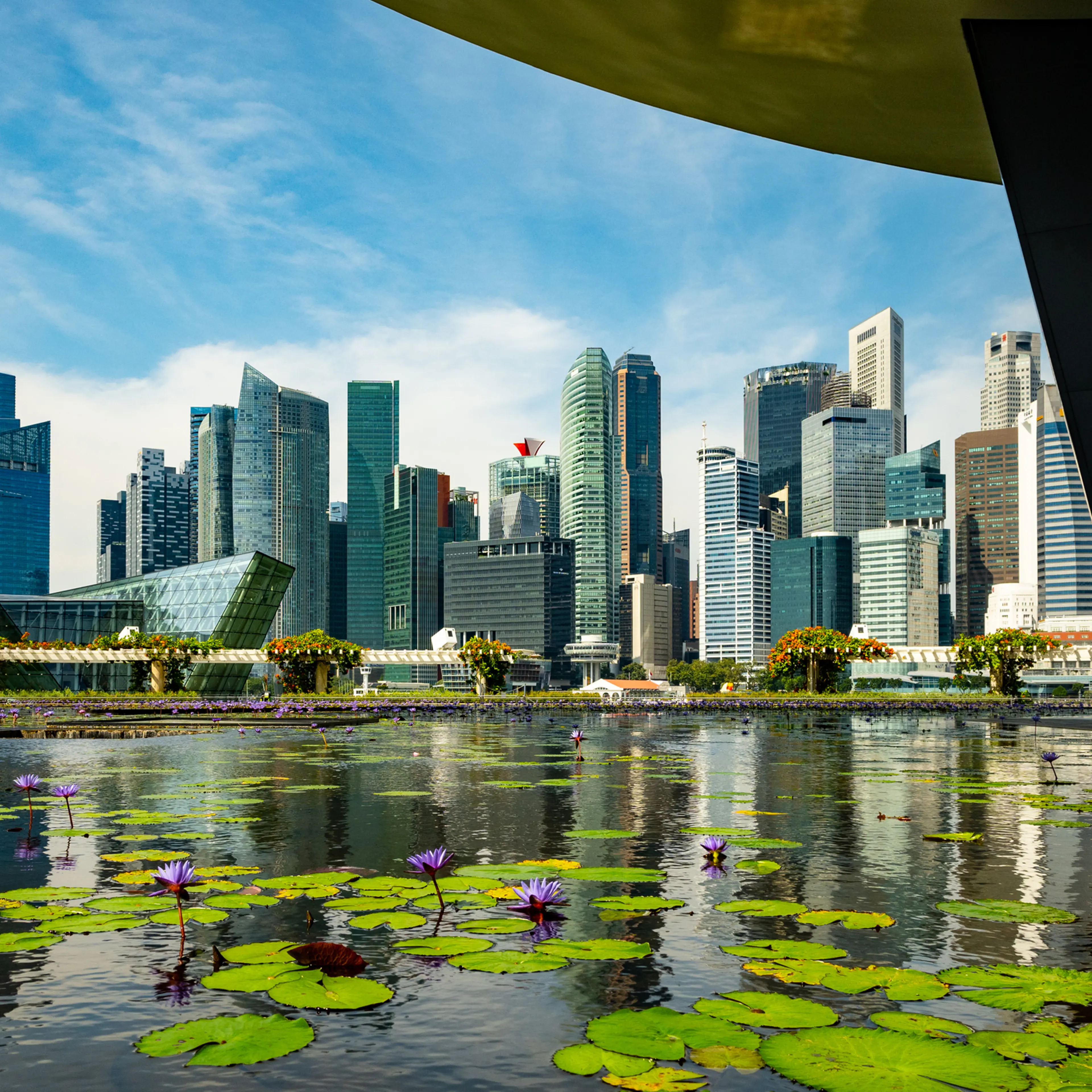 View of Singapore City Skyline with Pond in Foreground