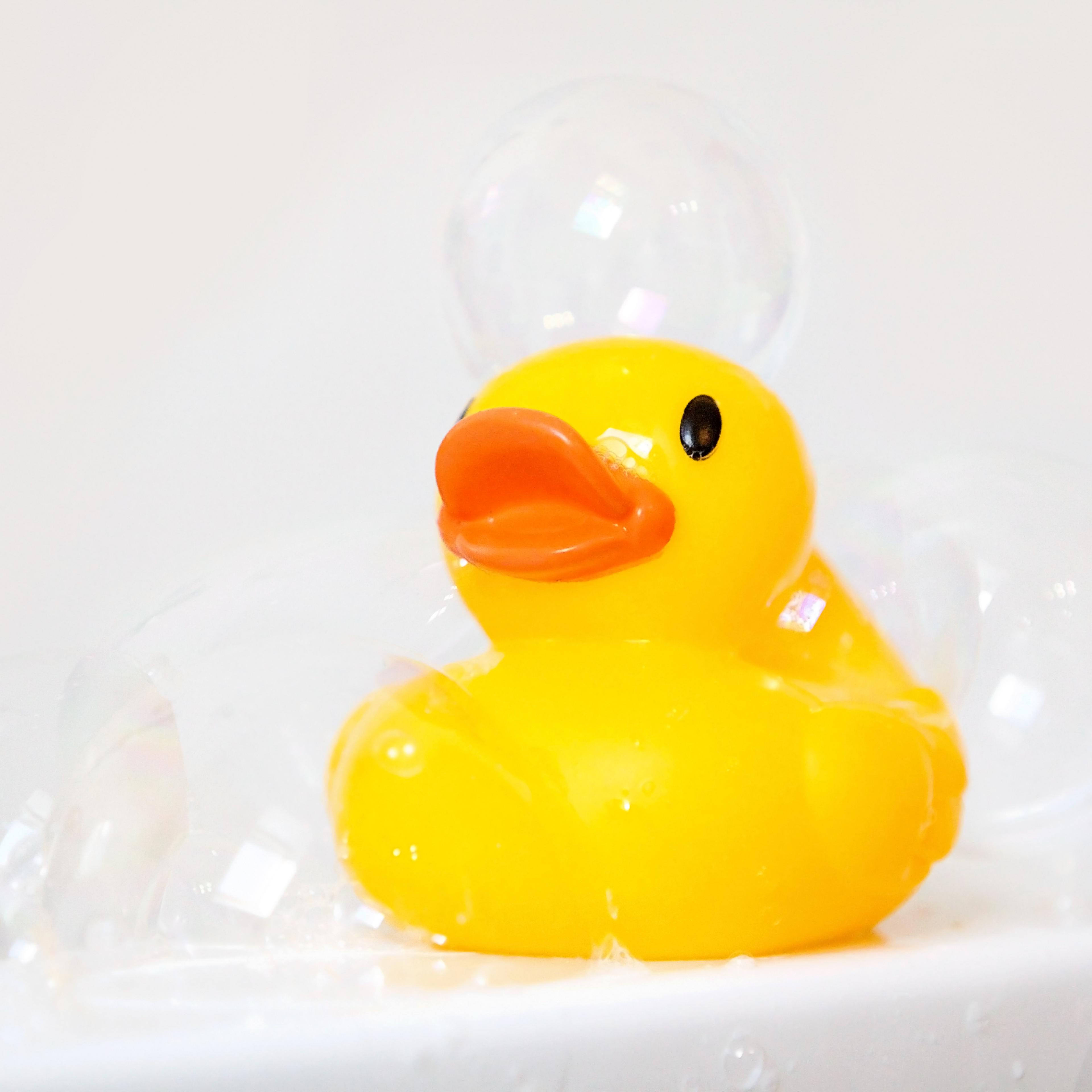 Rubber ducky with bubbles