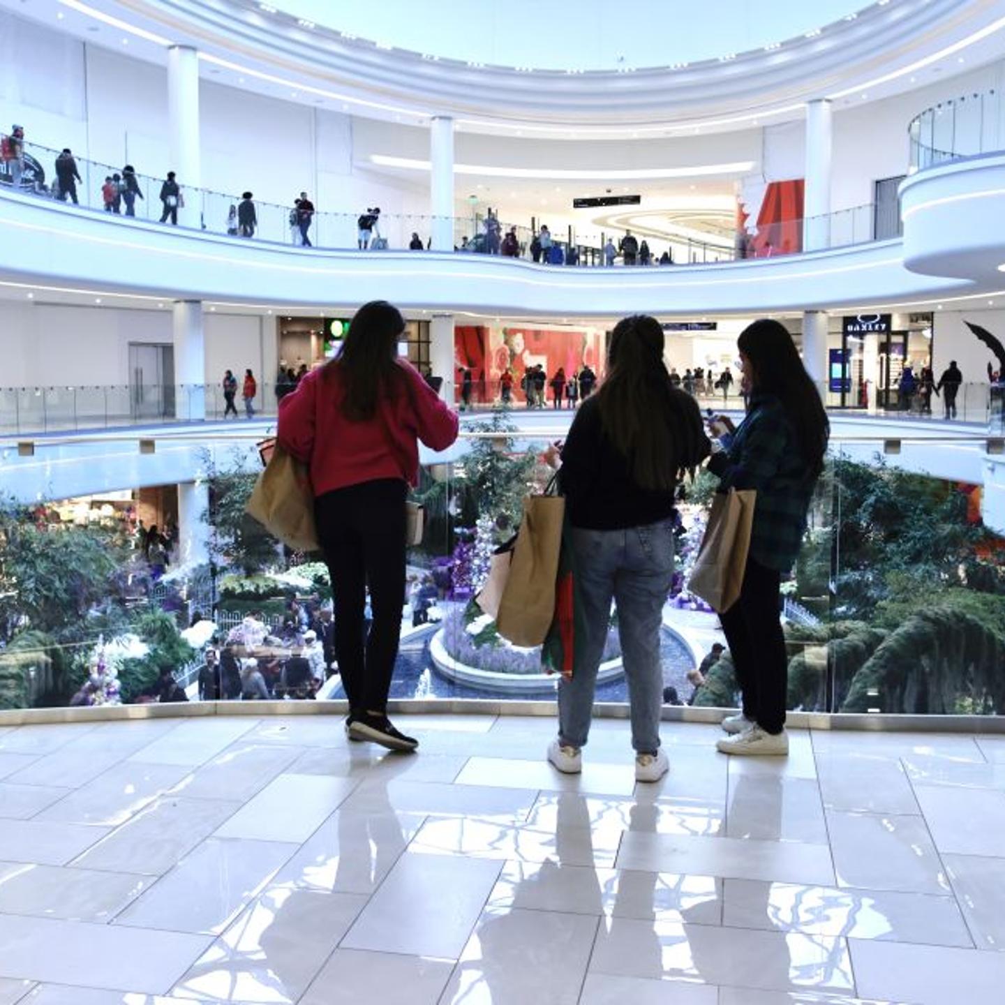 Shoppers Flock To Stores For Black Friday Deals
