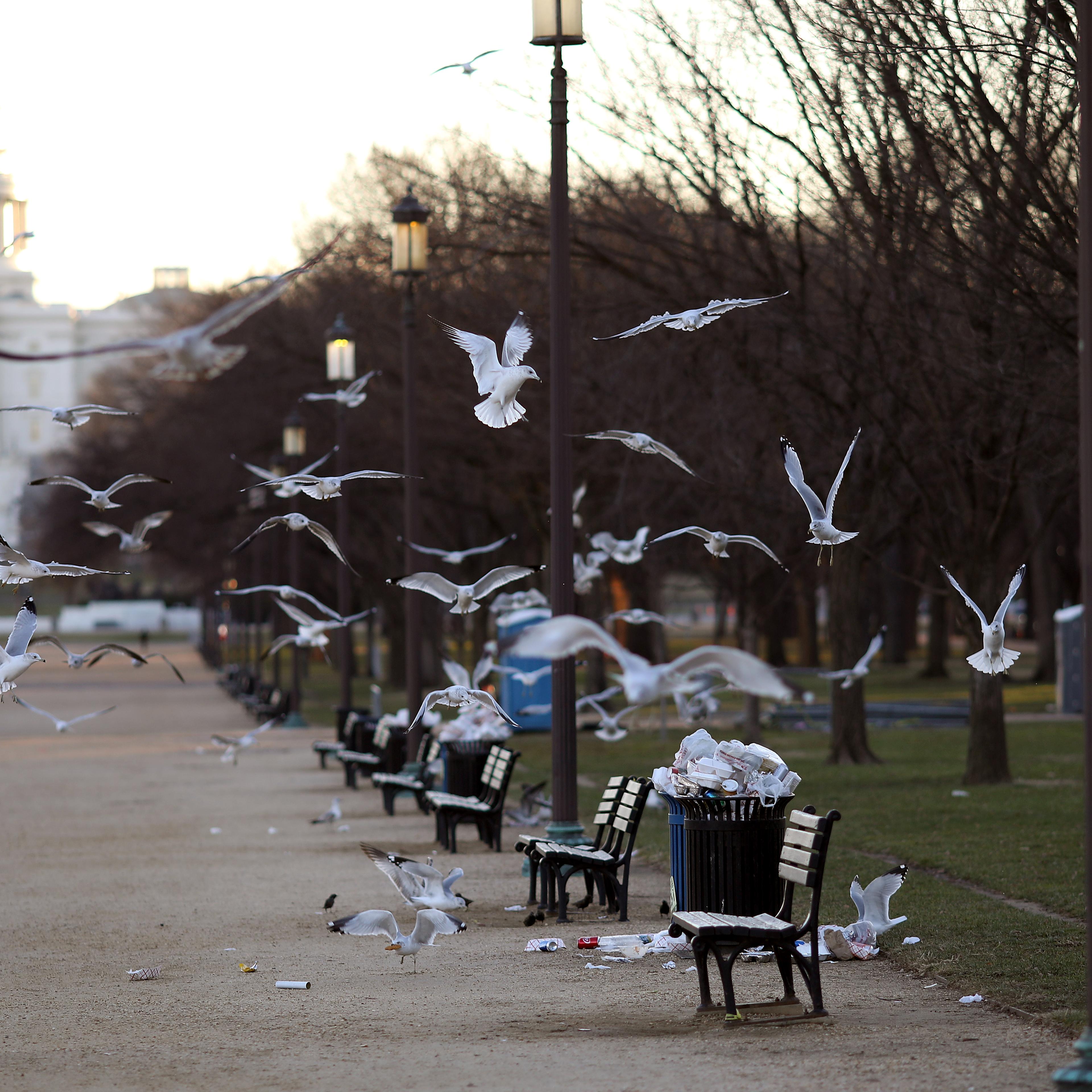 Partial Government Shutdown Continues As Congress And President Fail To Reach Deal