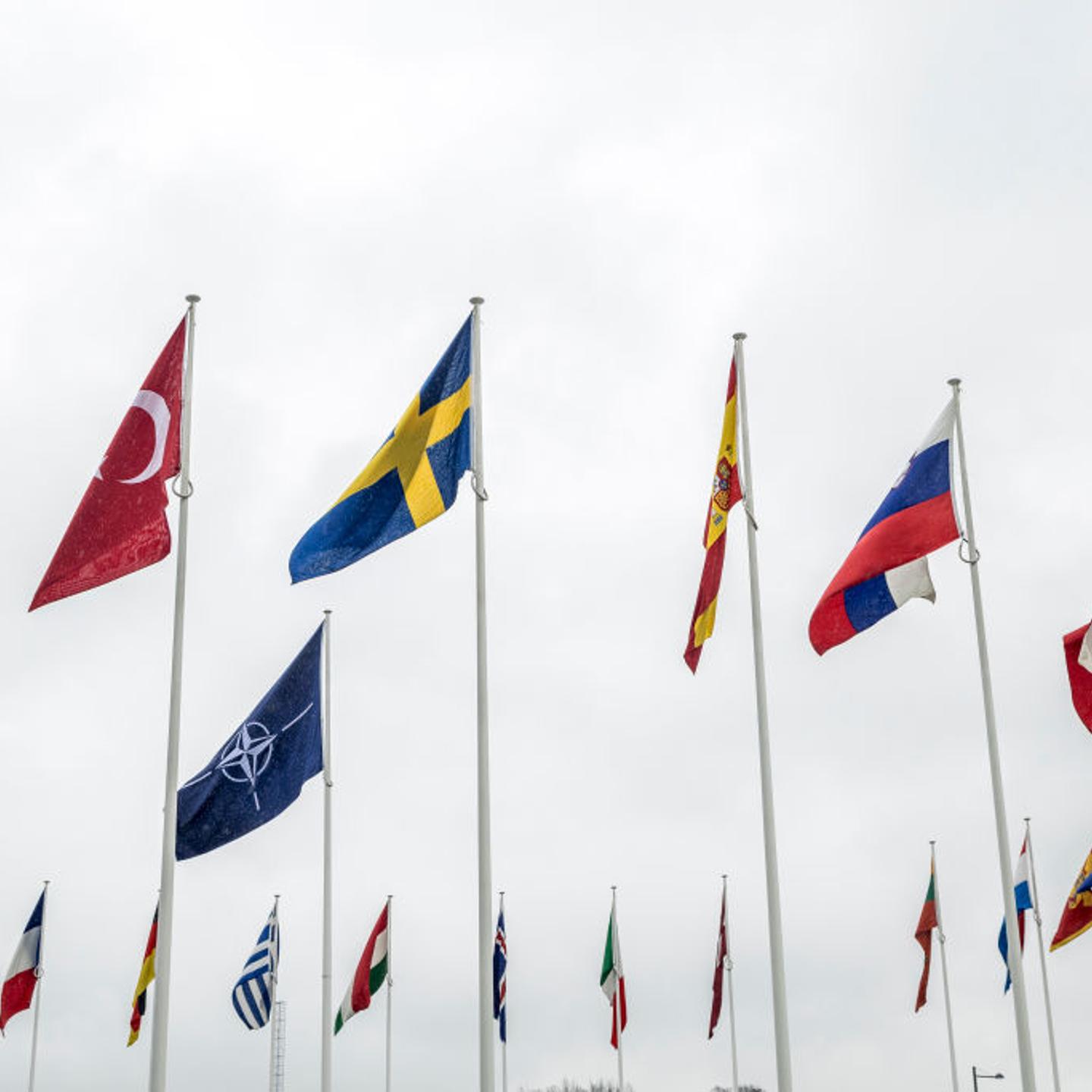 The NATO flag flies with the flags of some of the member countries outside NATO headquarters on March 11, 2024 in Brussels, Belgium.