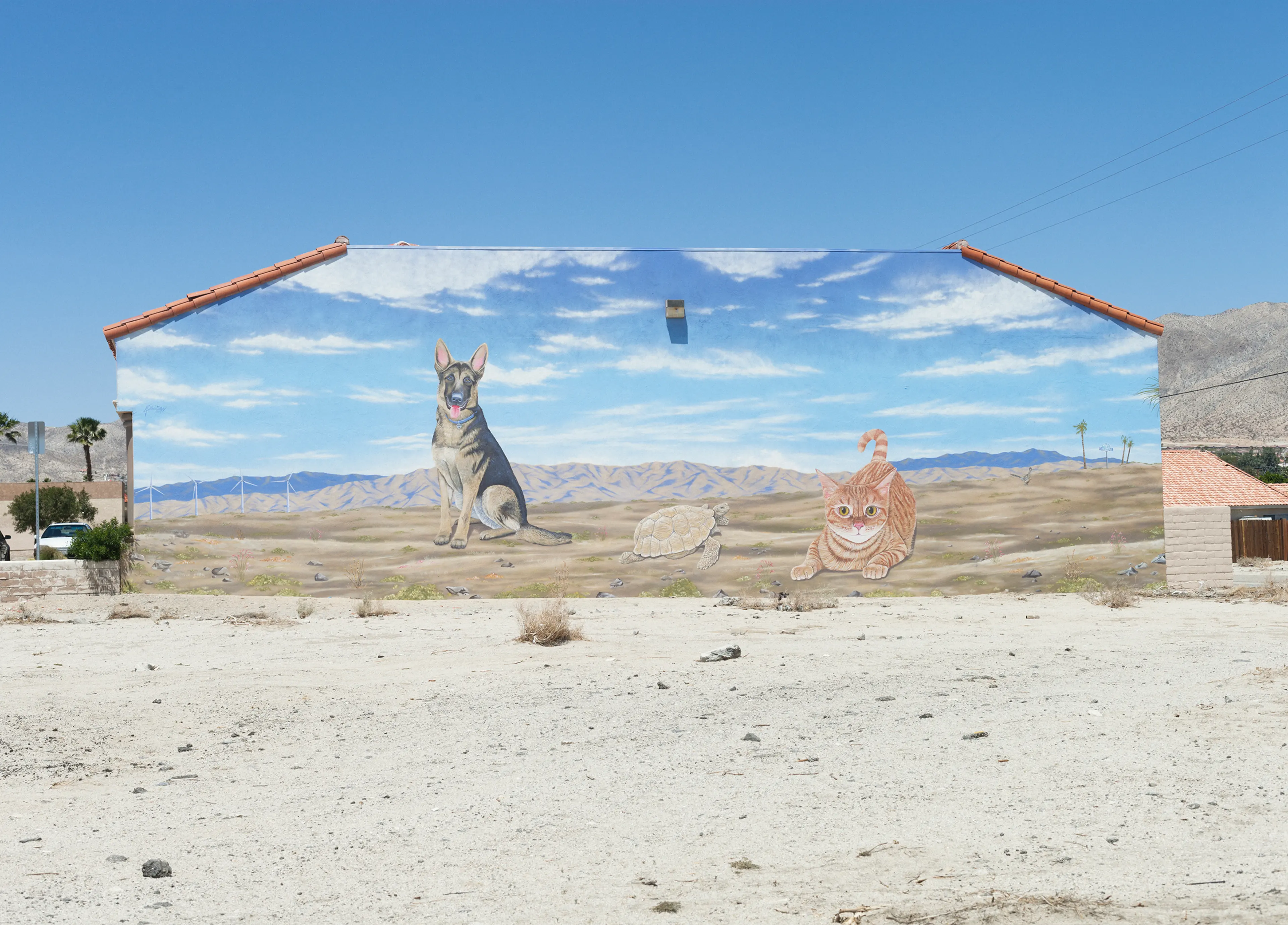 San Andreas Fault, California: Desert Hot SpringsPhoto: Knut Egil Wang/Moment/Institute