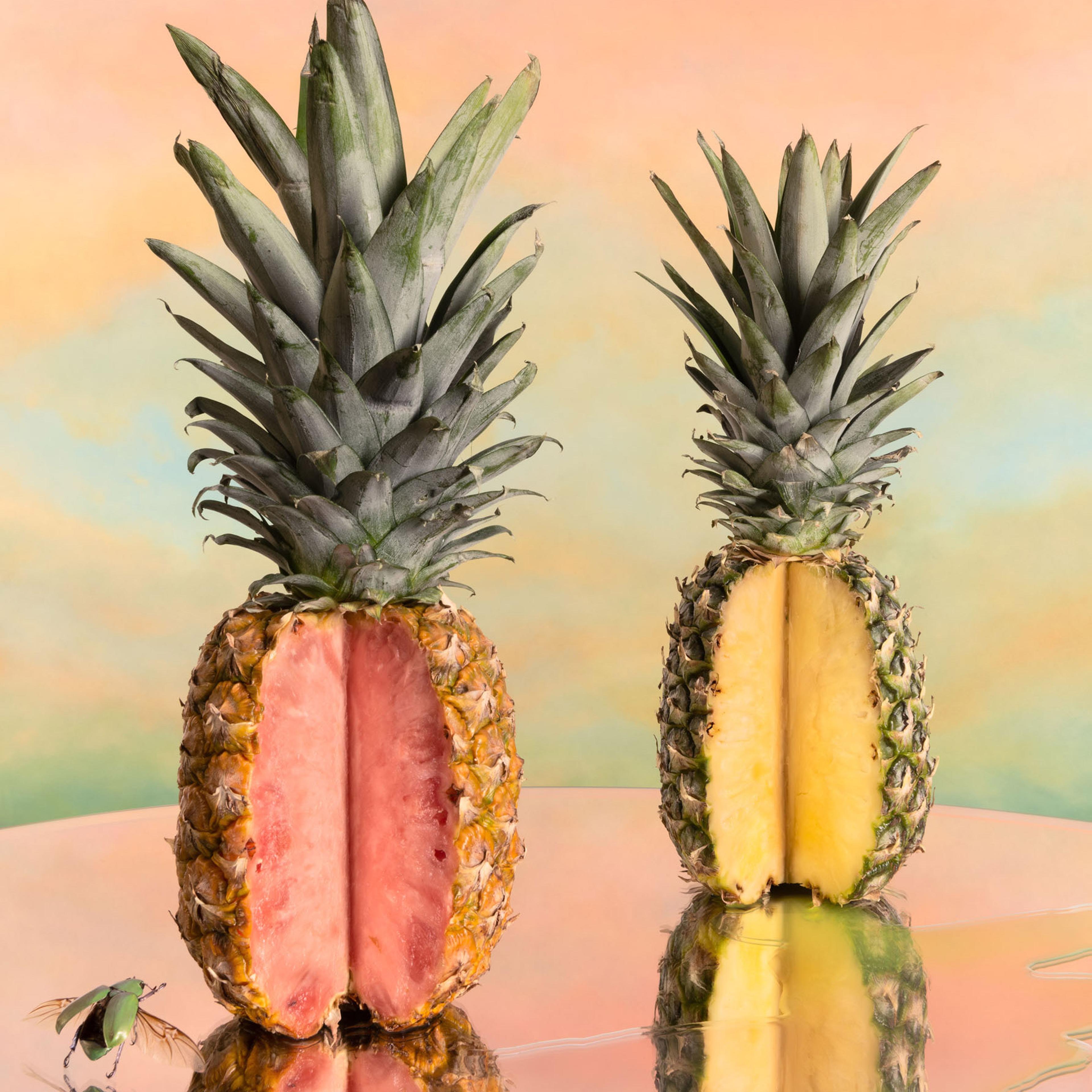 The PinkGlow Pineapple by Fresh Del Monte is bioengineered to have pink flesh and a sweetened taste.