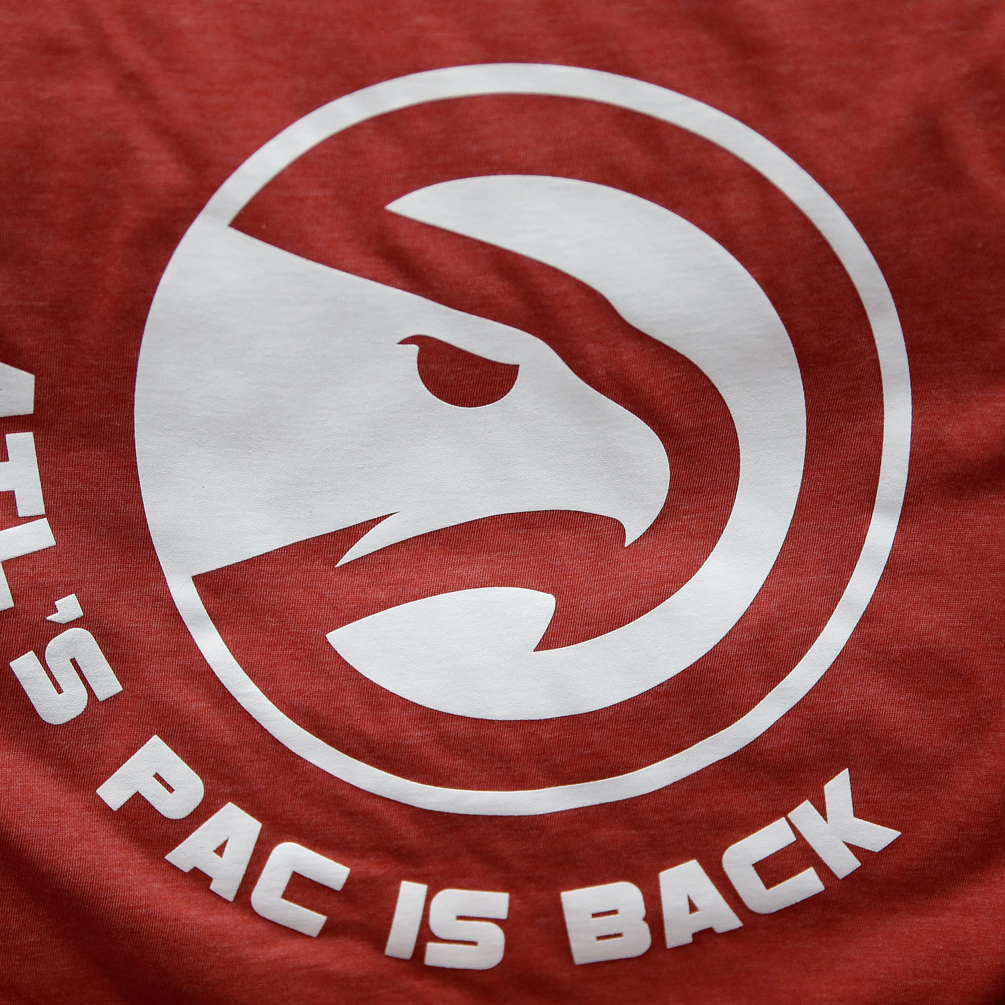 Indiana Pacers v Atlanta Hawks - Game Six