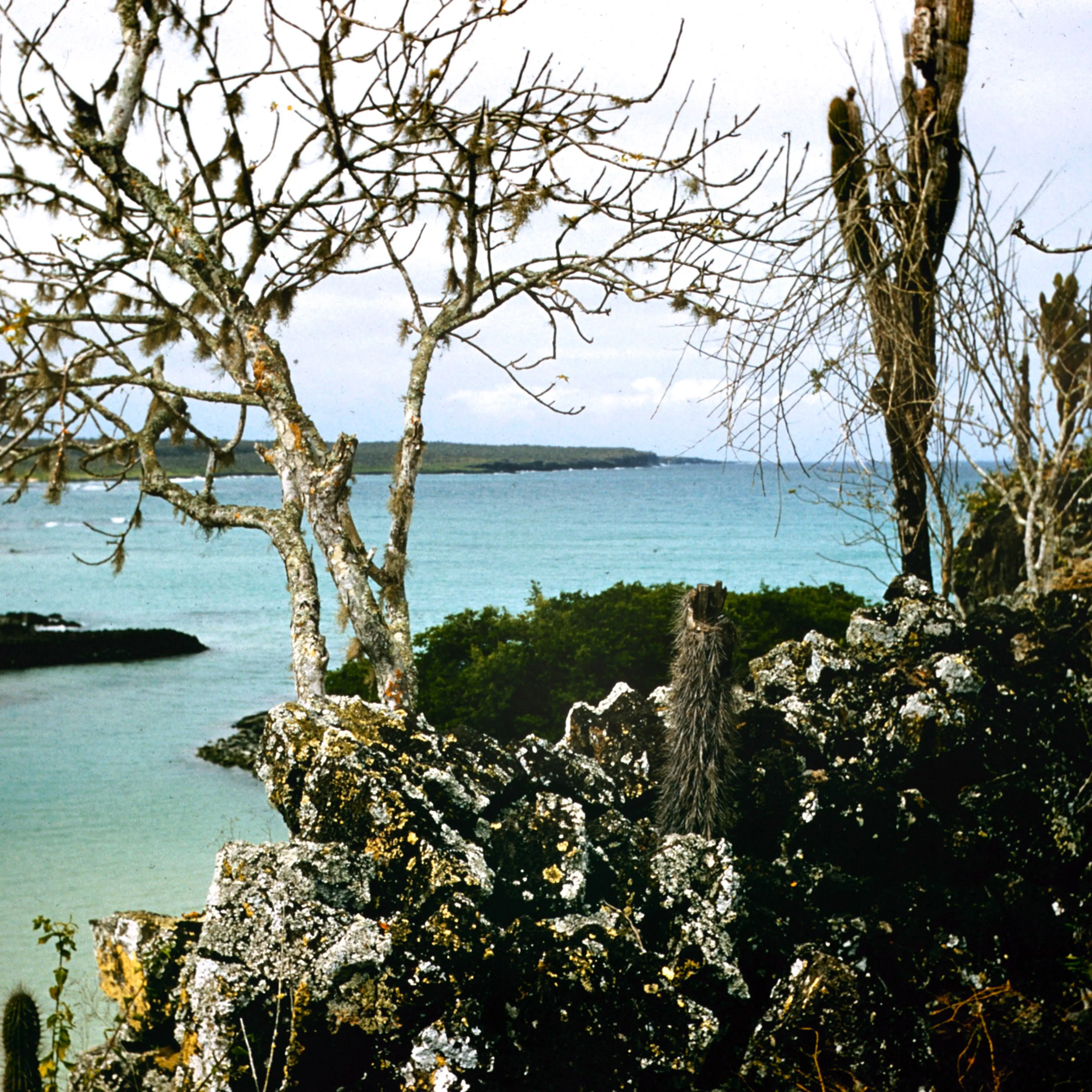 Galapogos Islands 1957Galapagos Islands 1957