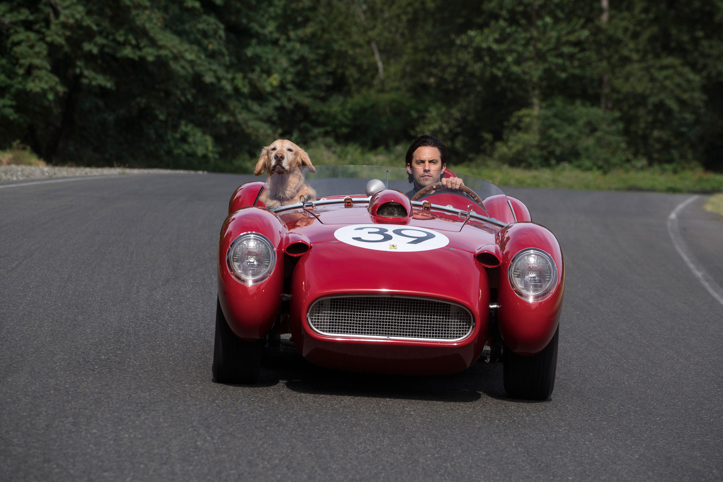 Ventimiglia and friend: If only dogs could drive! And also make movies.