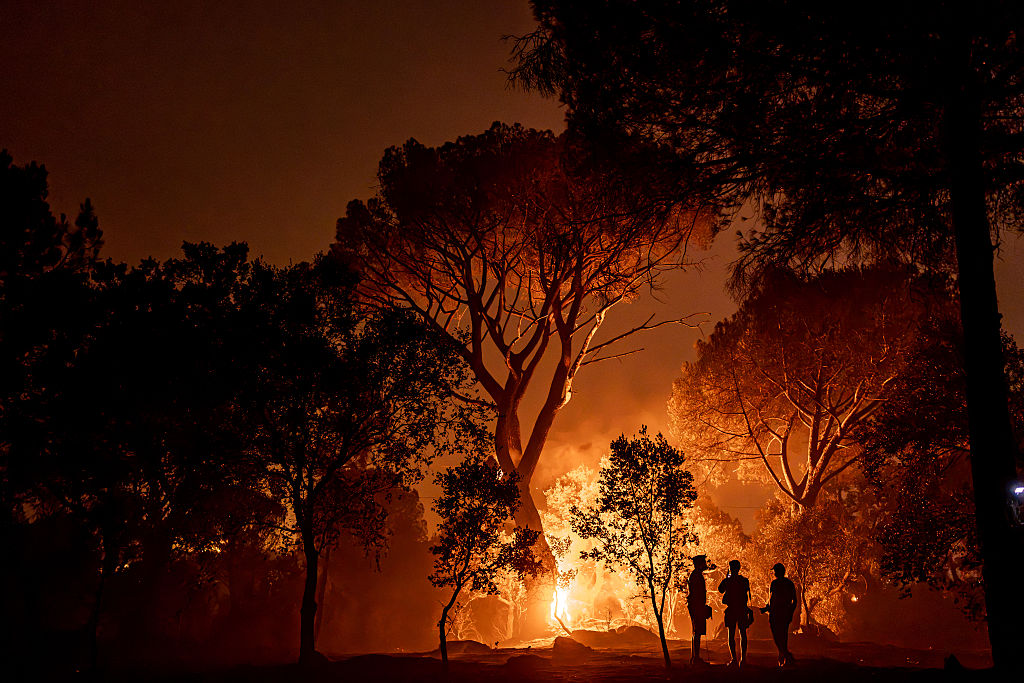 What Happens When the World is on Fire