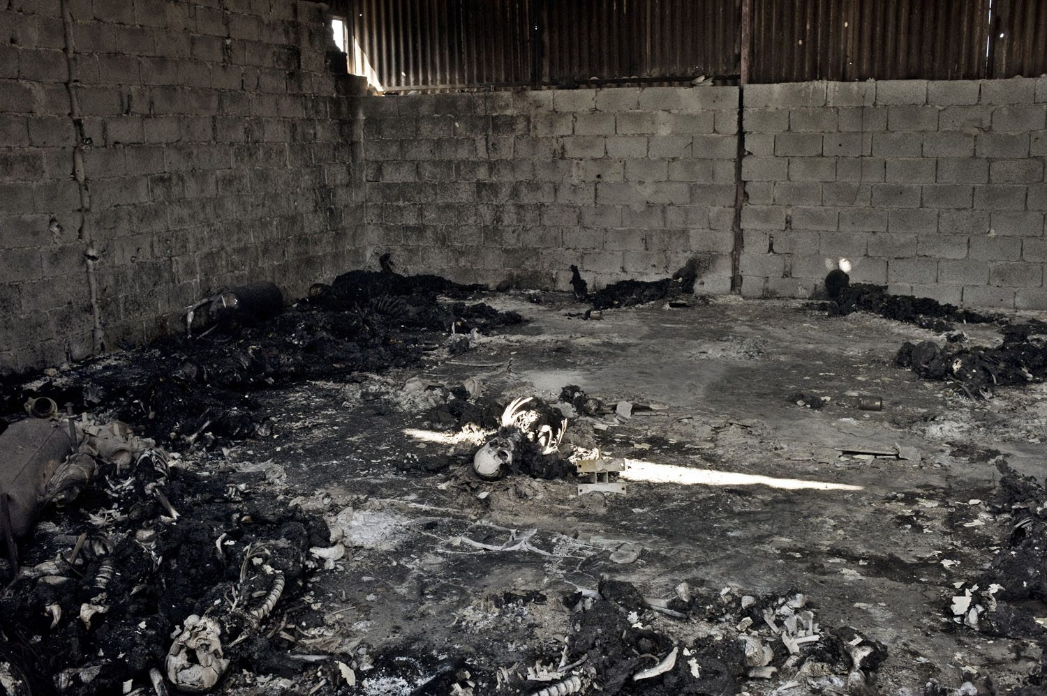 The charred remains of more than 50 people, victims of an alleged massacre by Gaddafi loyalists, lie in a warehouse on a military base in Tripoli, August 27, 2011.