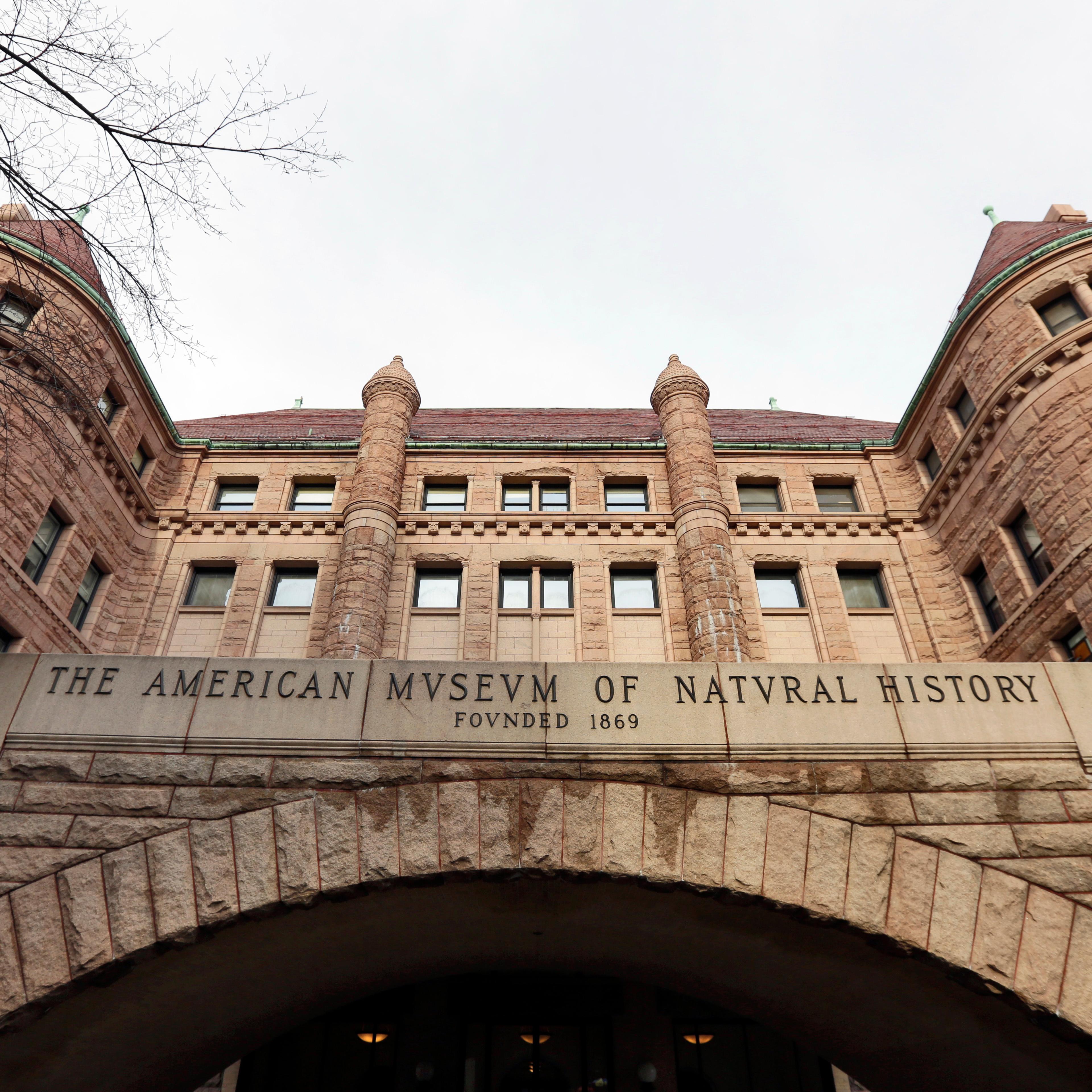 American Museum of Natural History