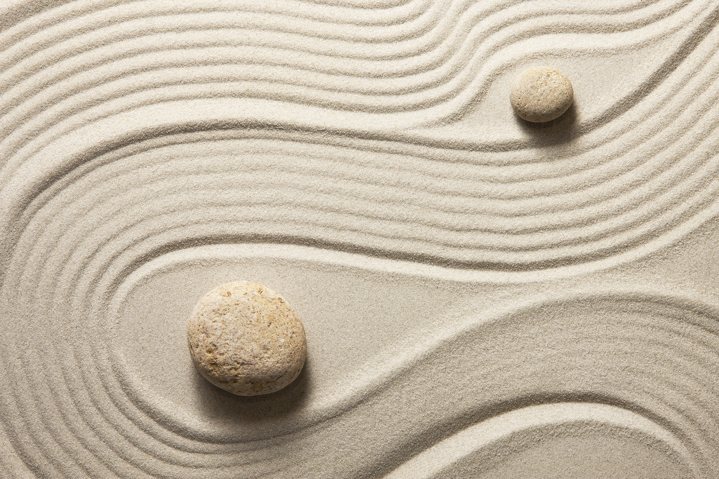 Zen garden