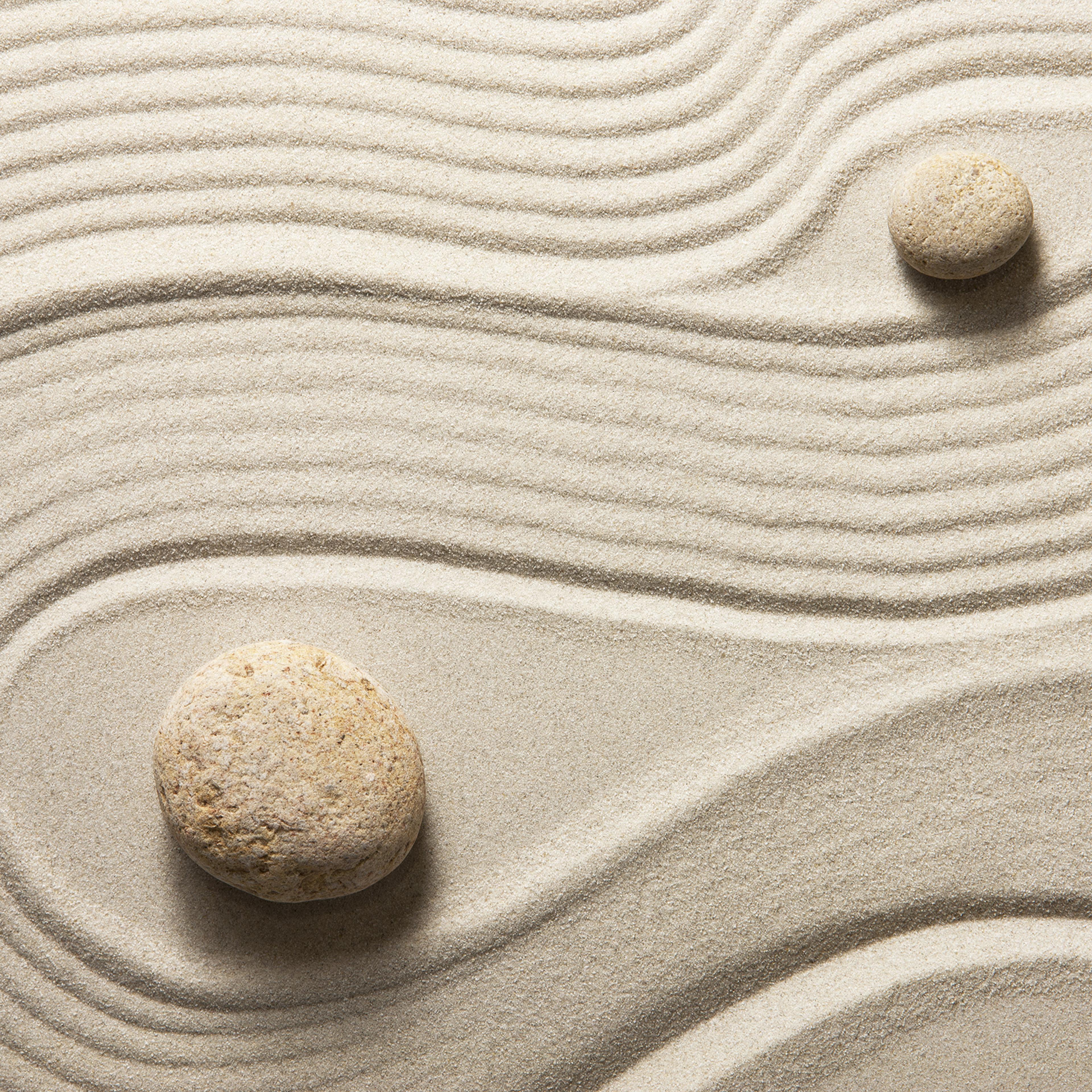 Zen garden