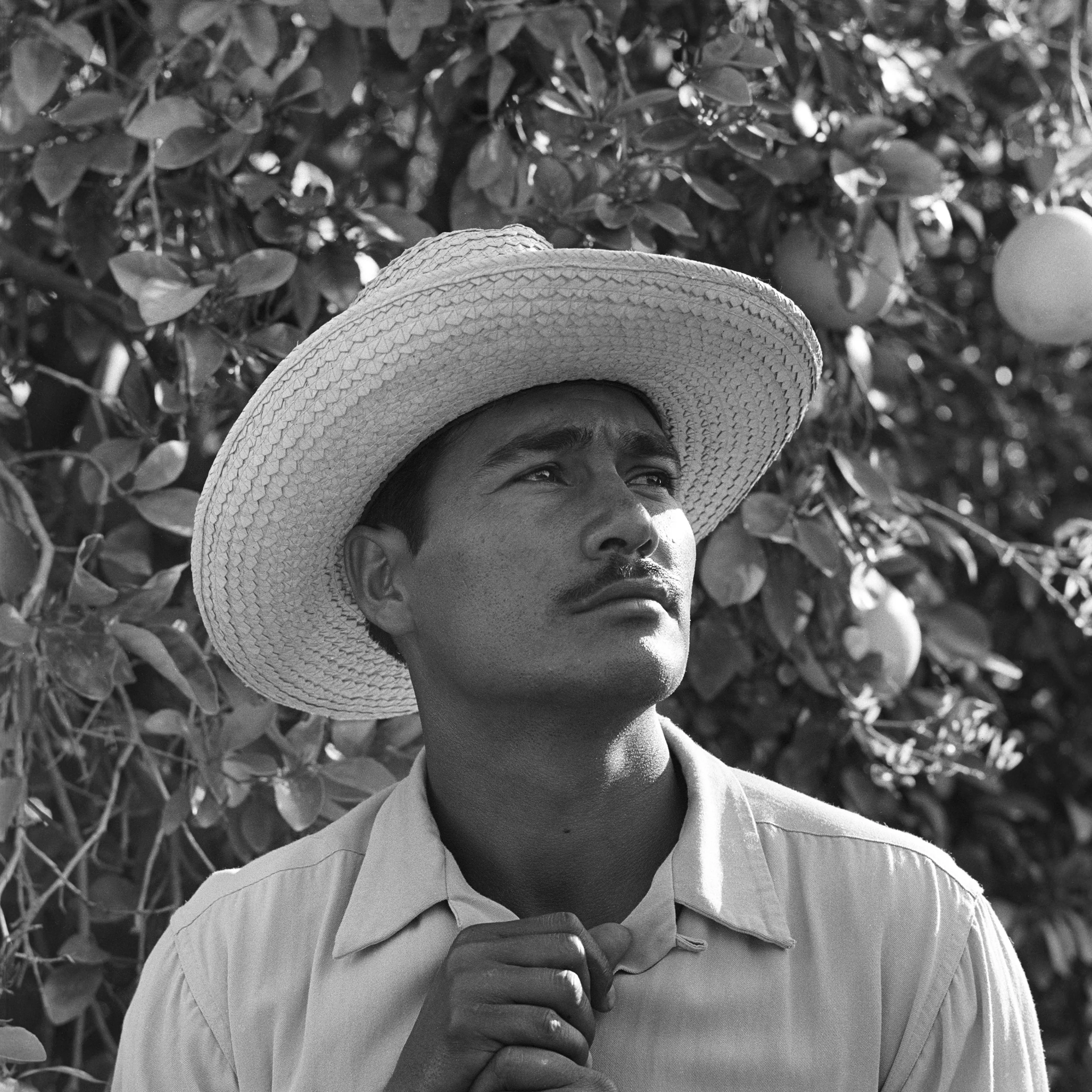Portrait of Mexican farm laborer, Rafael Tamayo, working in the United States under the Bracero Program, 1957.