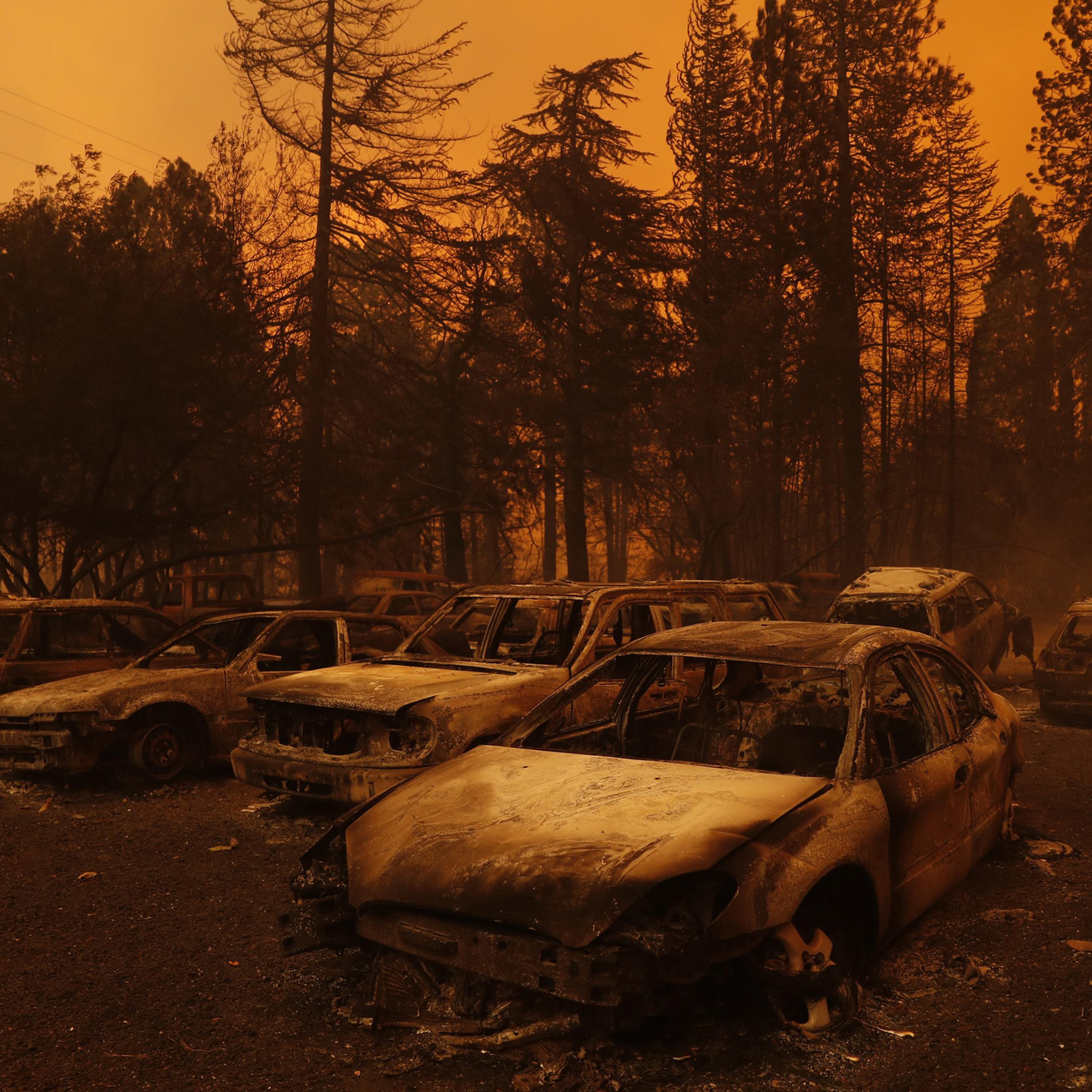 Burned vehicles during the Camp Fire in Paradise, Calif. on Nov. 8.