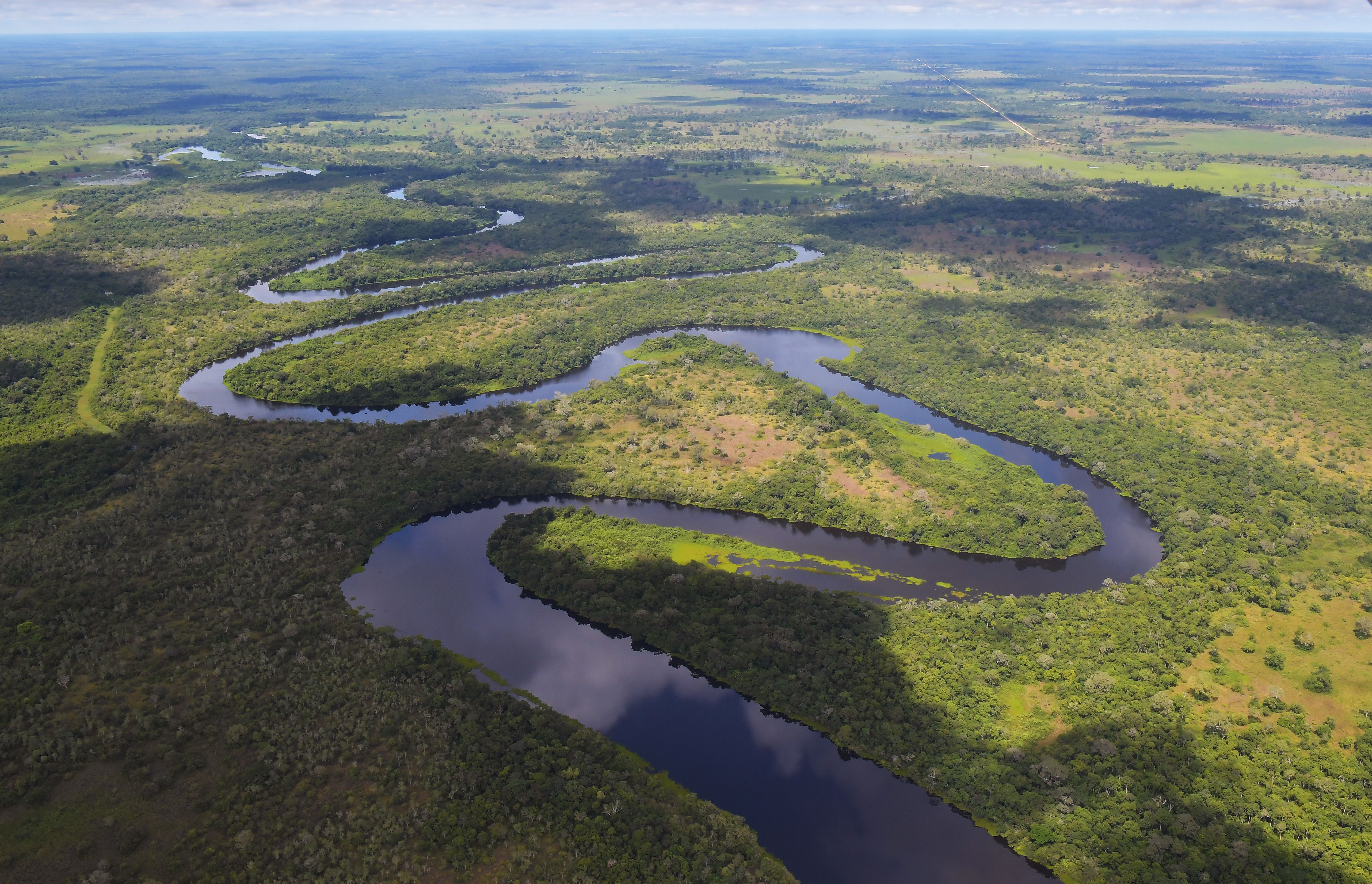 BRAZIL-WWF8-CONSERVATION-PANTANAL