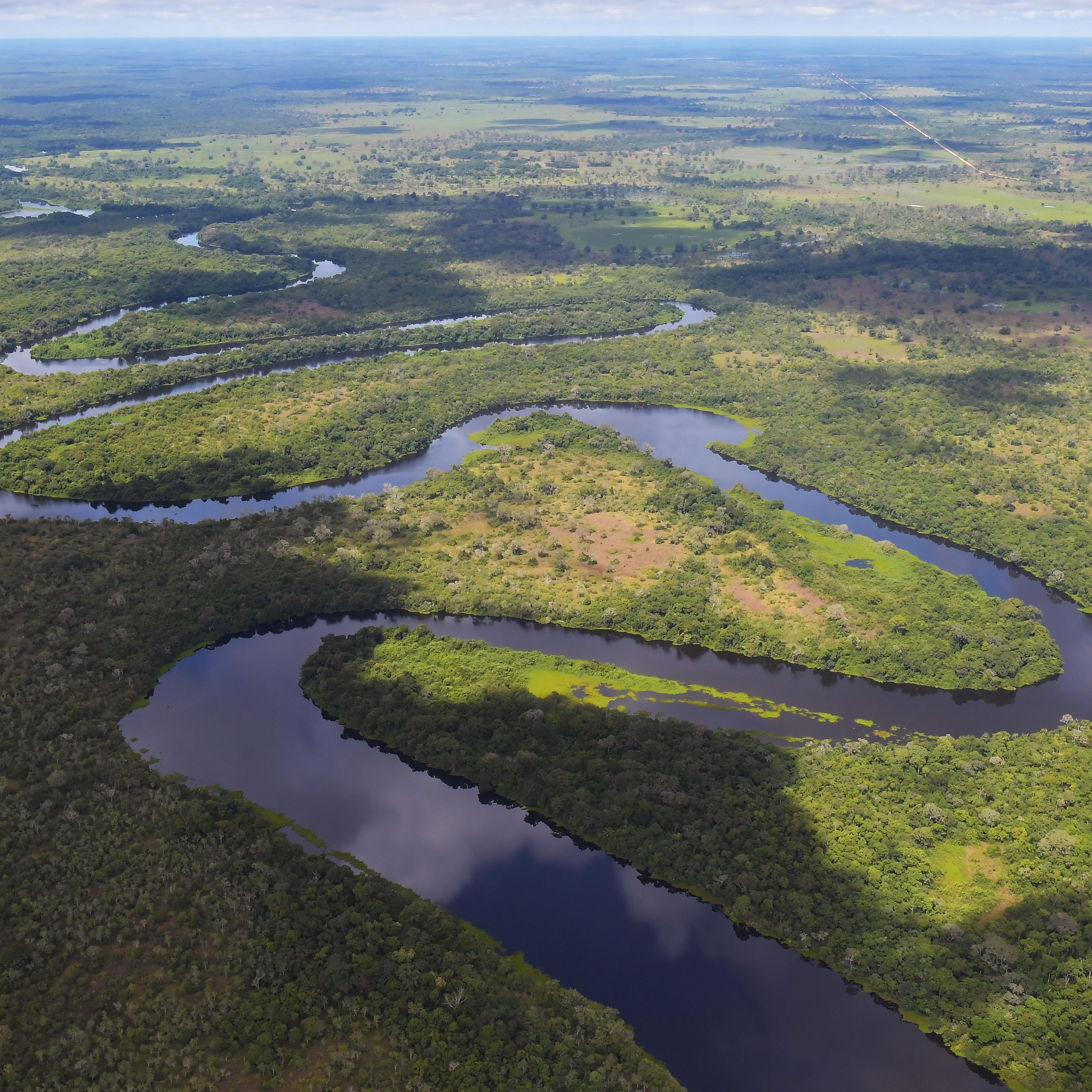 BRAZIL-WWF8-CONSERVATION-PANTANAL