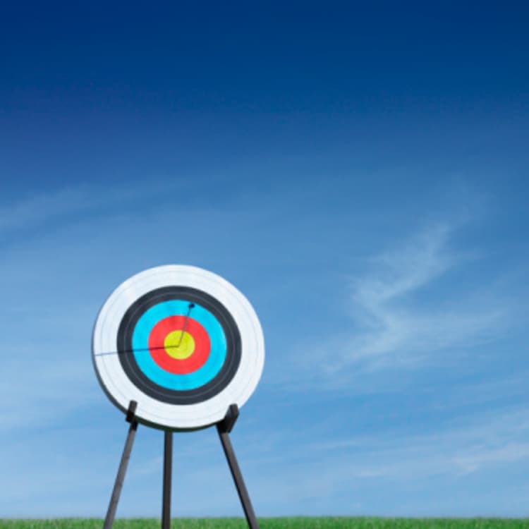archery-target-board