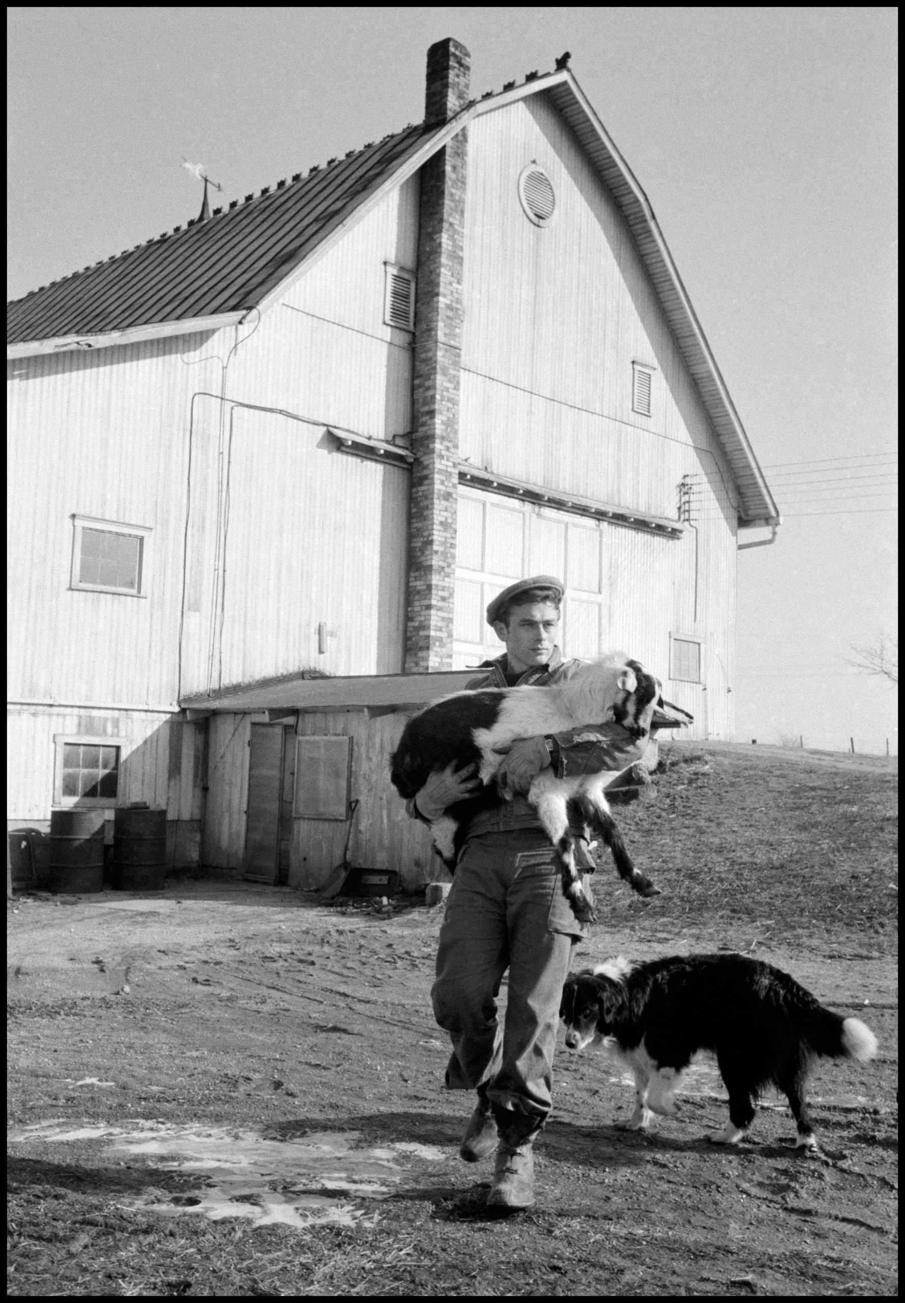 Dennis Stock: James Dean