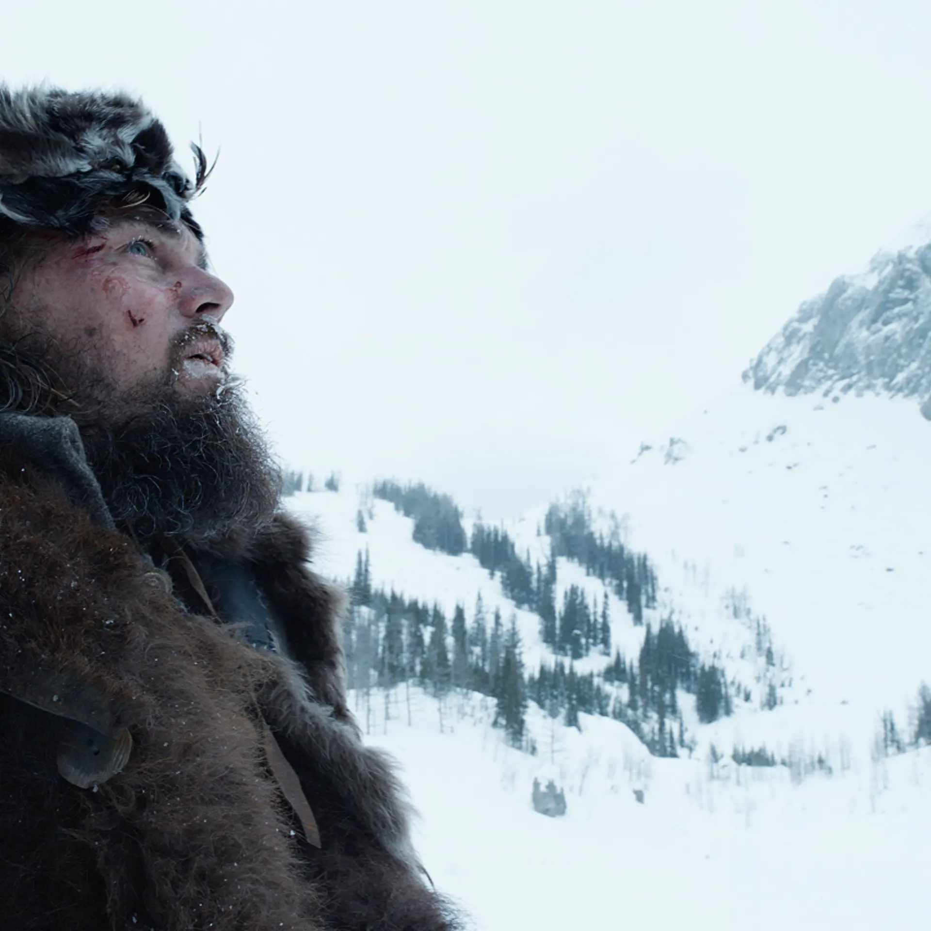 Leonardo DiCaprio in The Revenant.