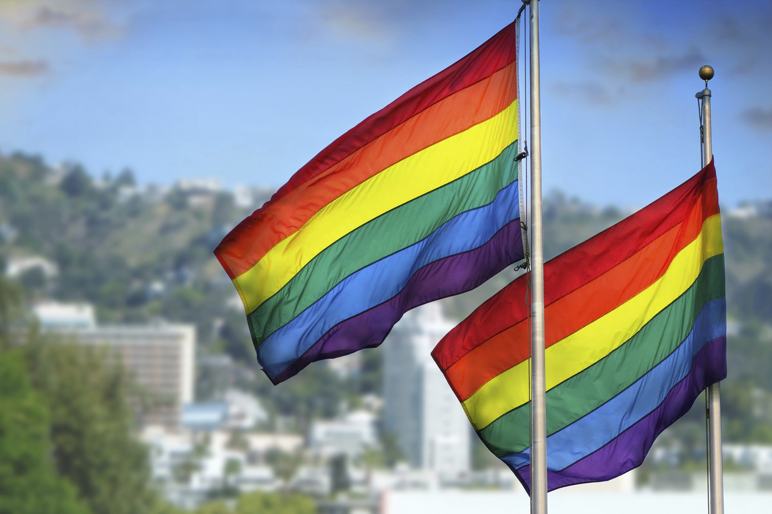 Rainbow flags