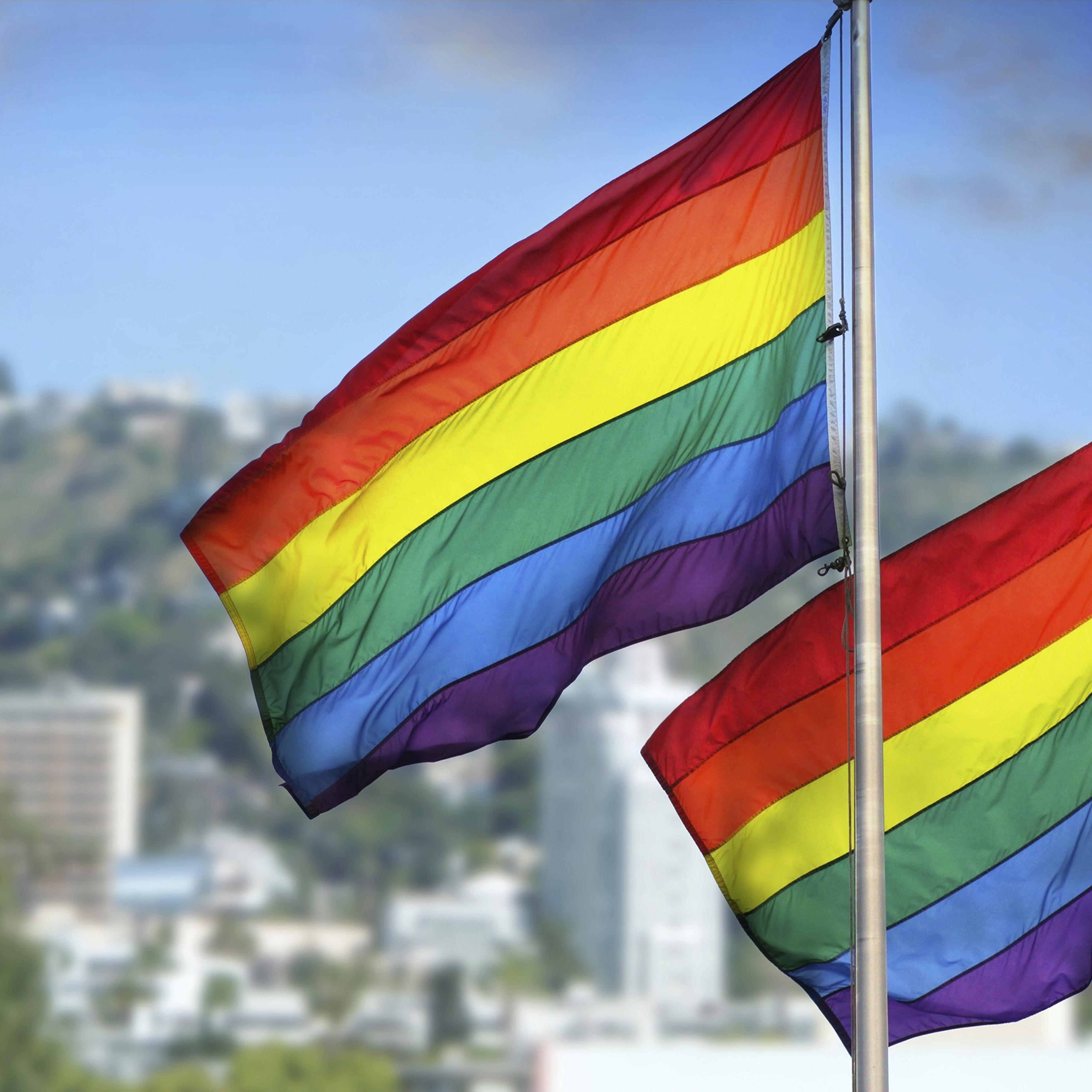 Rainbow flags