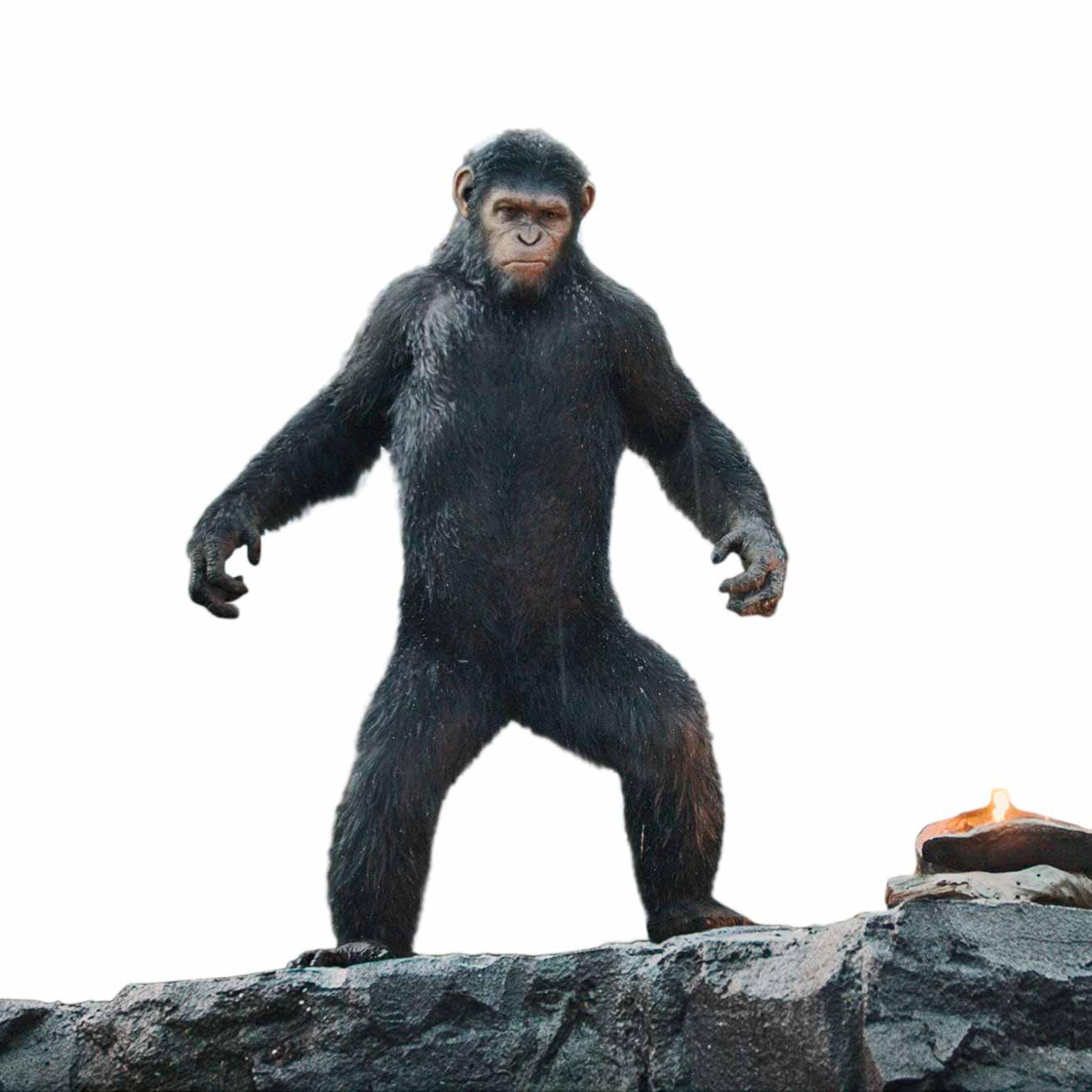 Dawn of the Planet of the Apes Movie Film Still