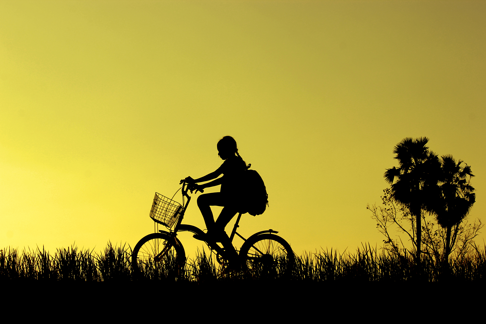 Silhouette Girl Riding Bicycle On Grassy Field Against Sky During Sunset