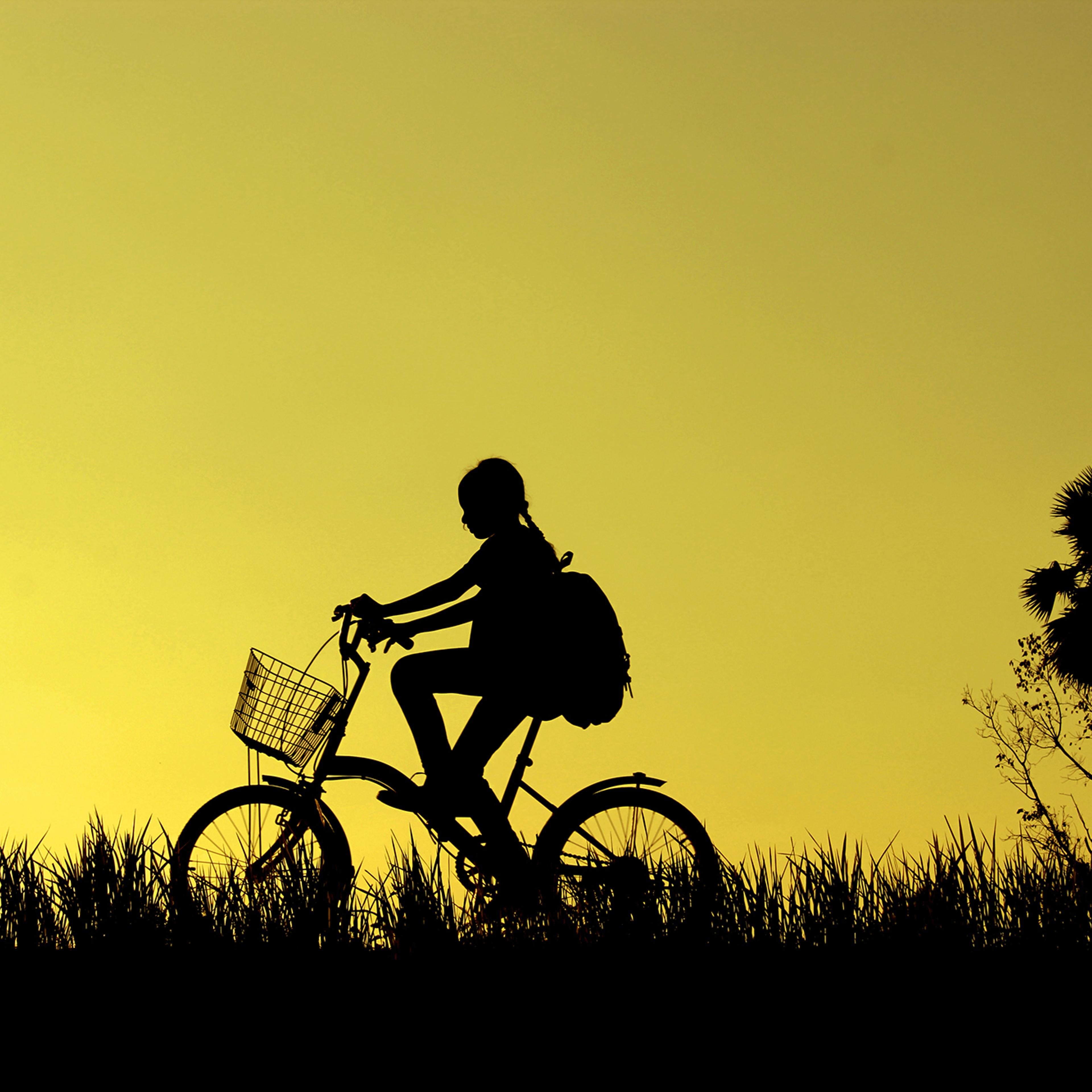 Silhouette Girl Riding Bicycle On Grassy Field Against Sky During Sunset