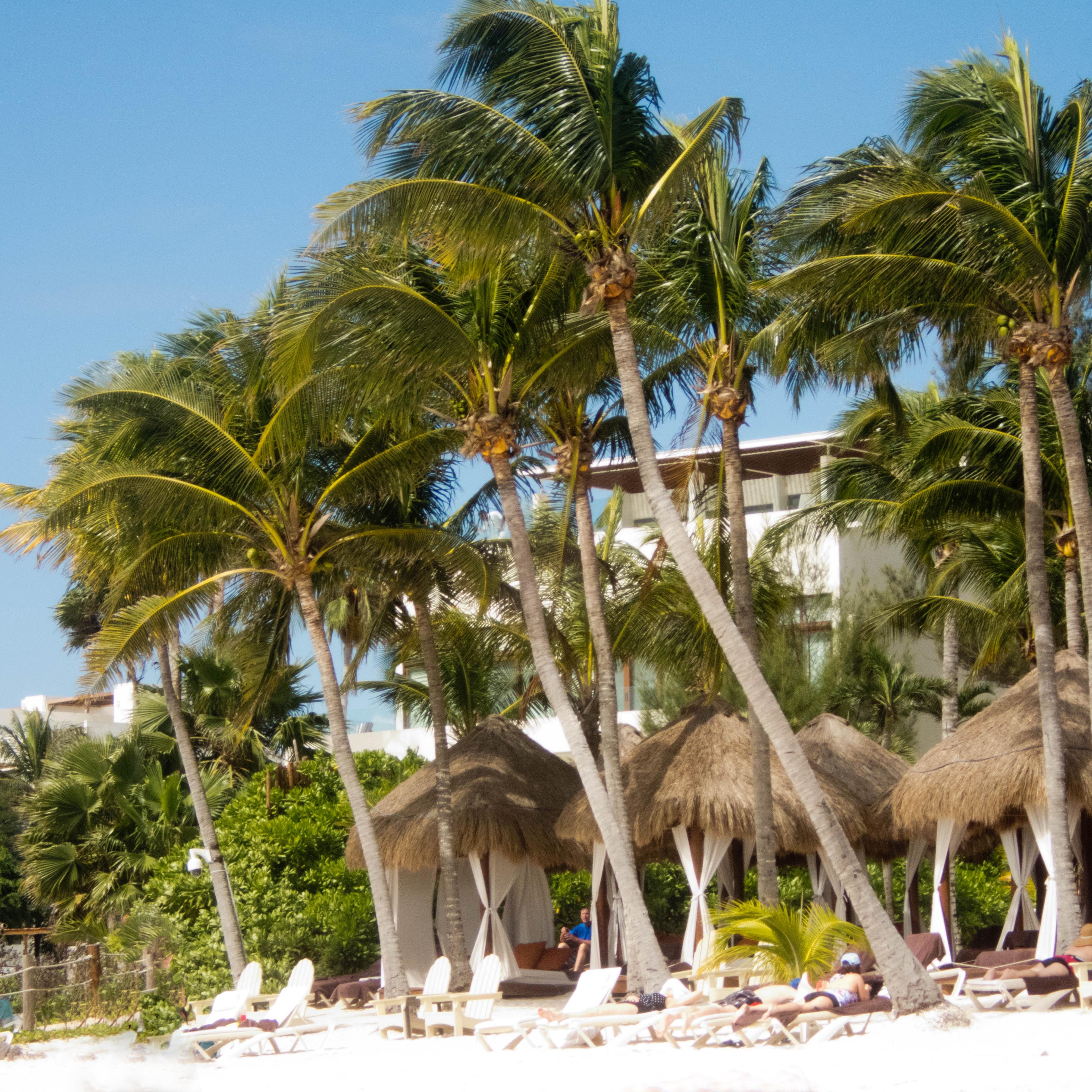 Tourists on Akumal beach