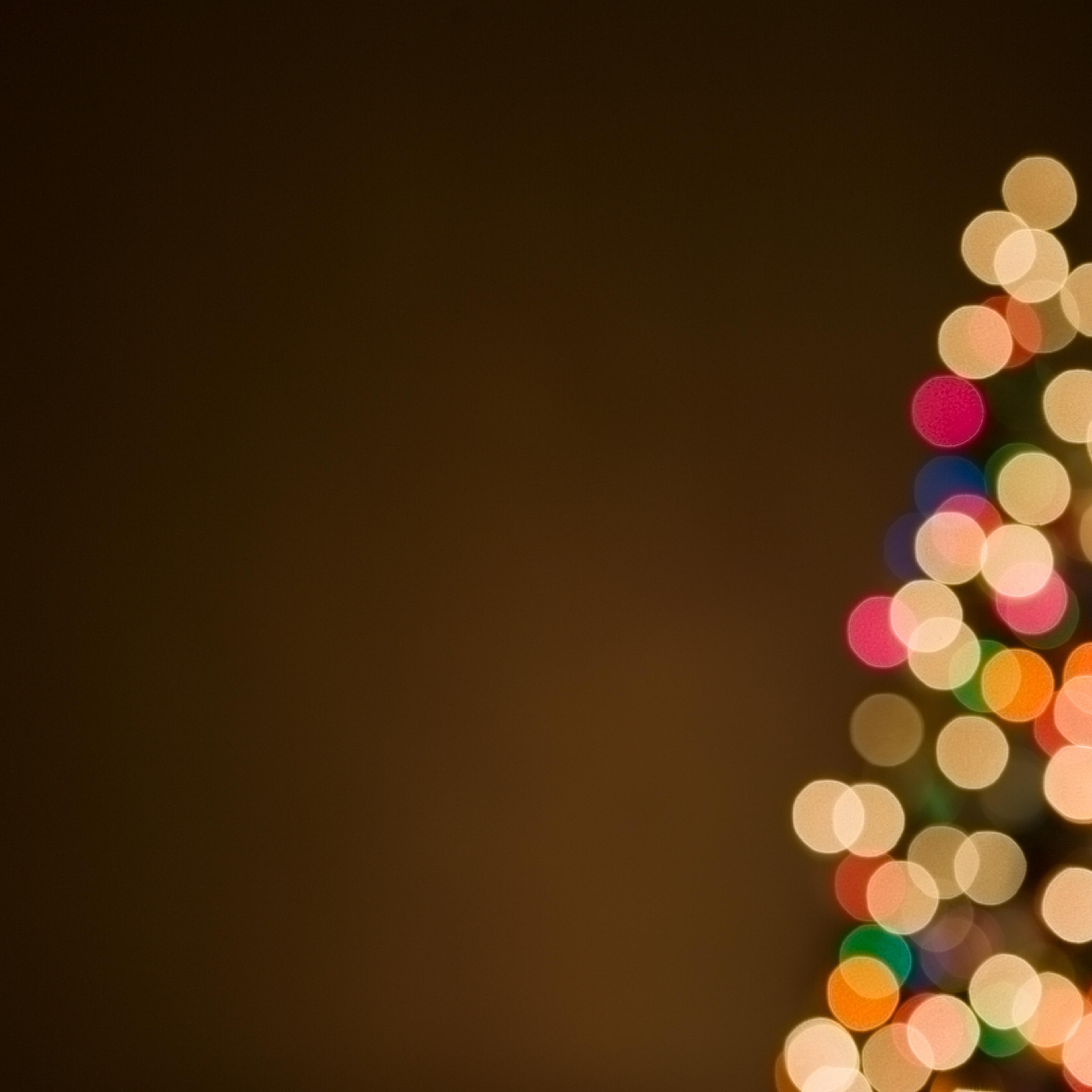 Christmas lights on tree, out of focus
