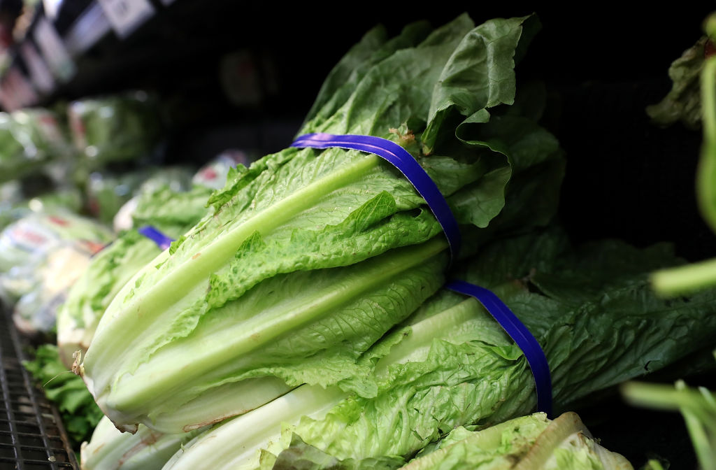Romaine Lettuce