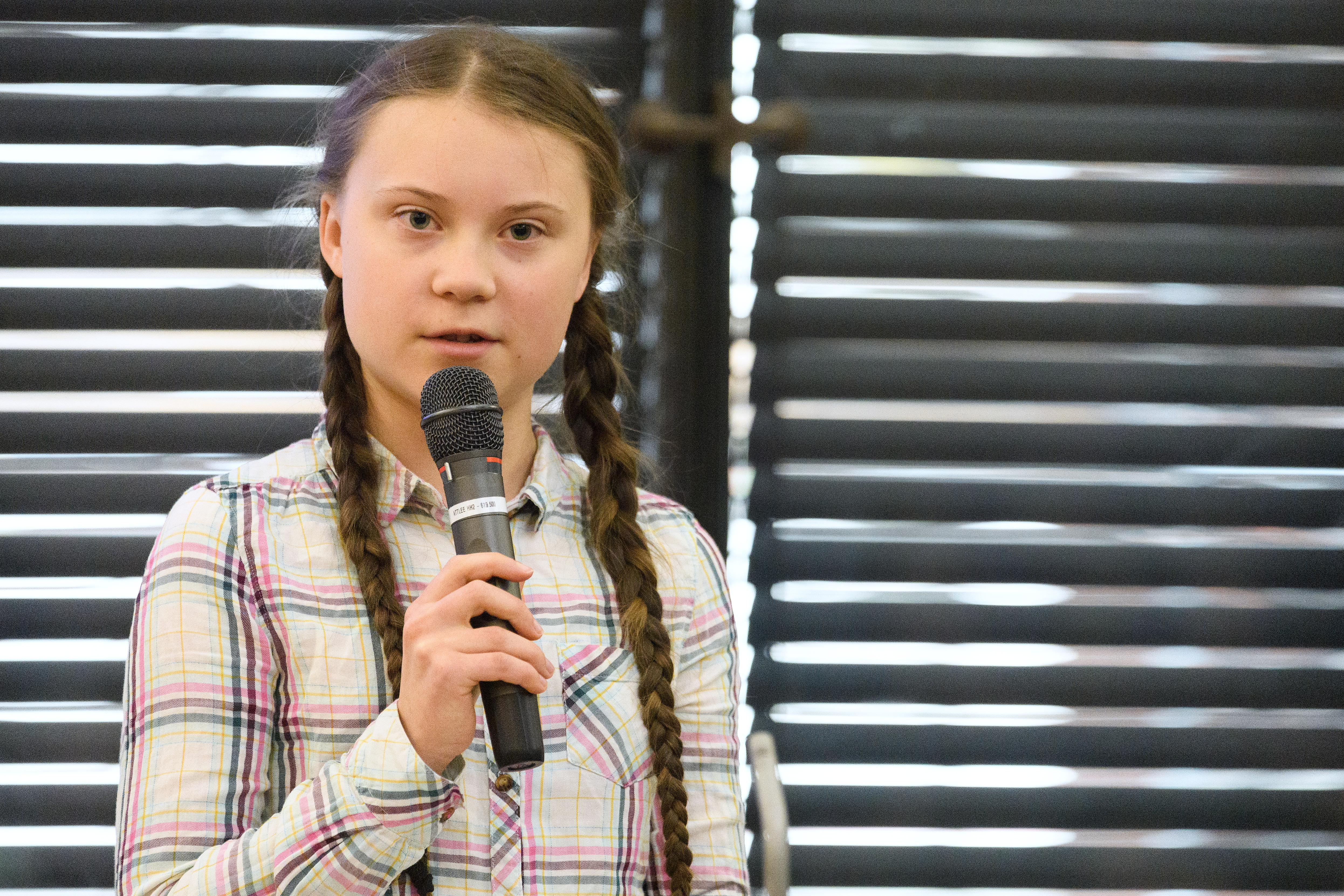 Greta Thunberg Addresses Parliament Climate Change Group Meeting