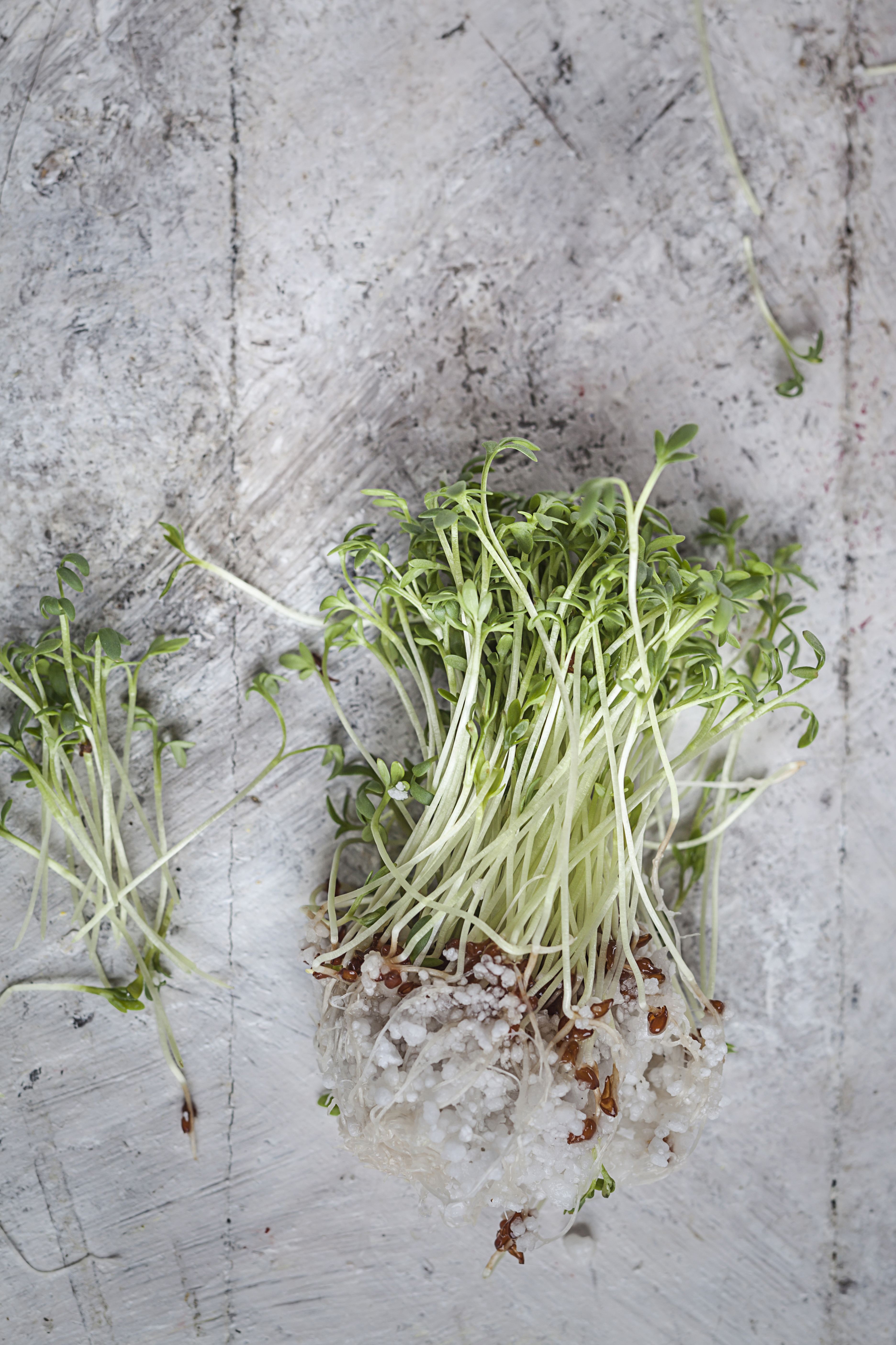 microgreens