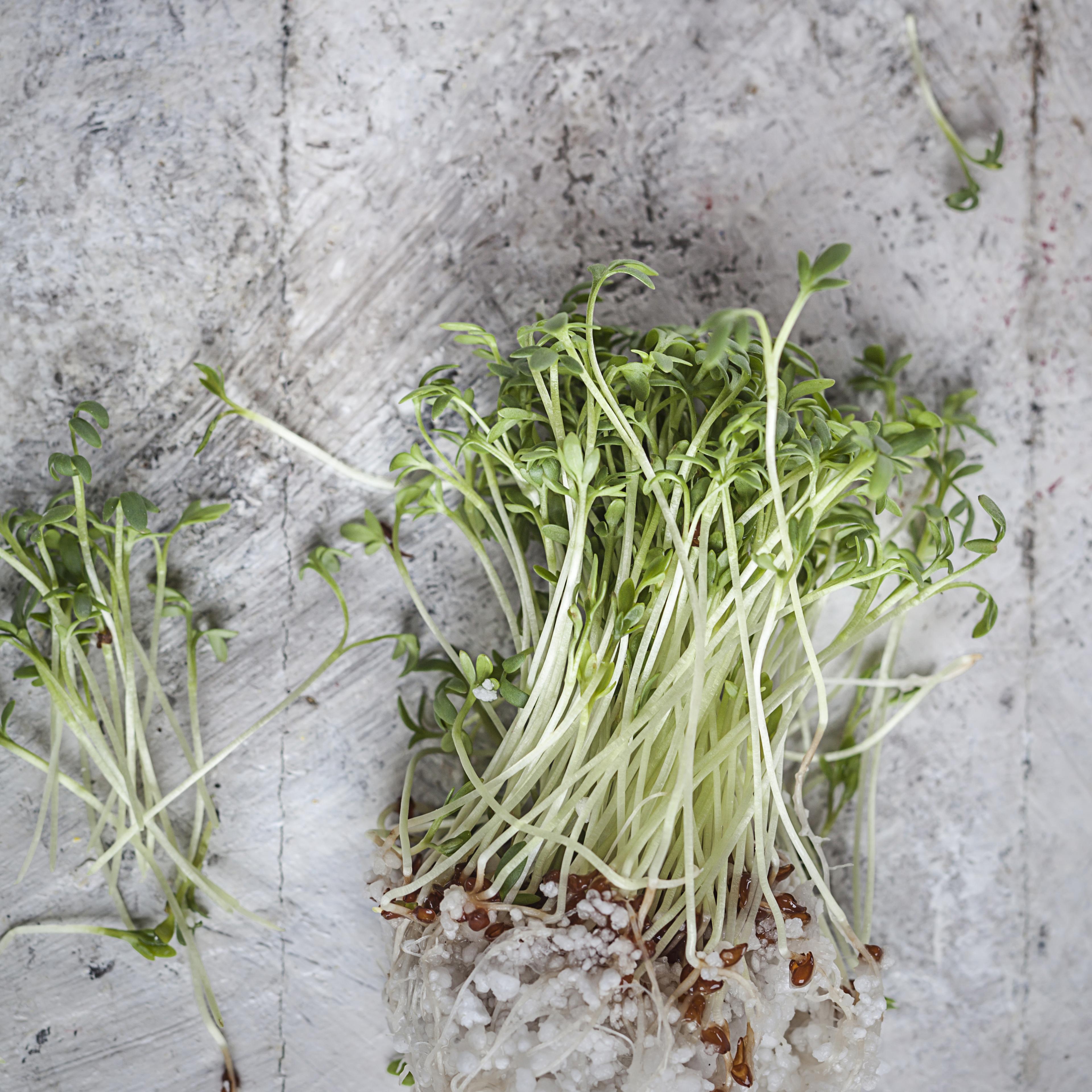 microgreens