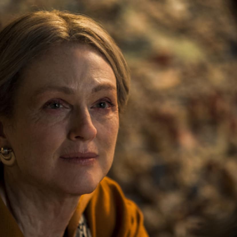 todd haynes wonderstruk