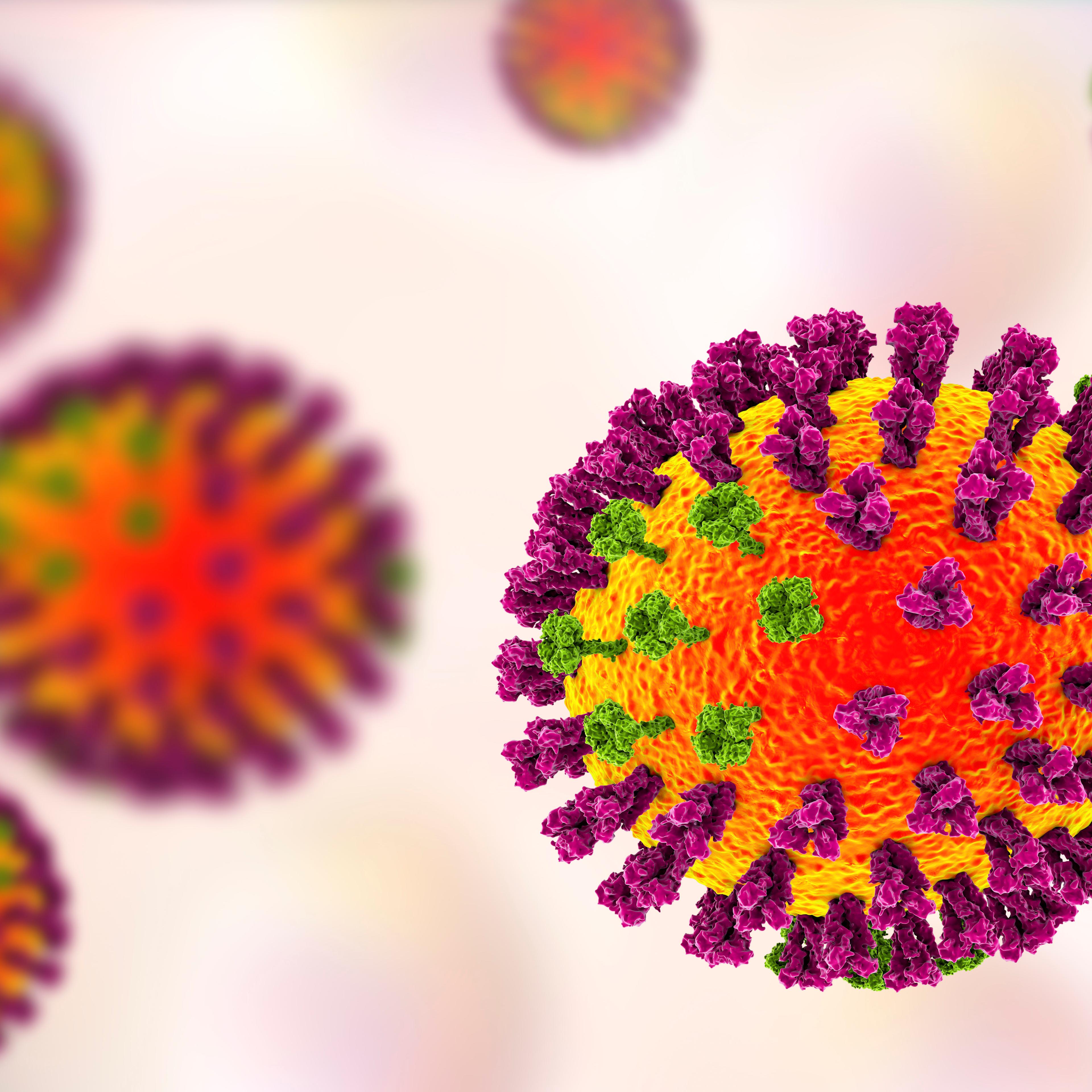 Influenza viruses illustration