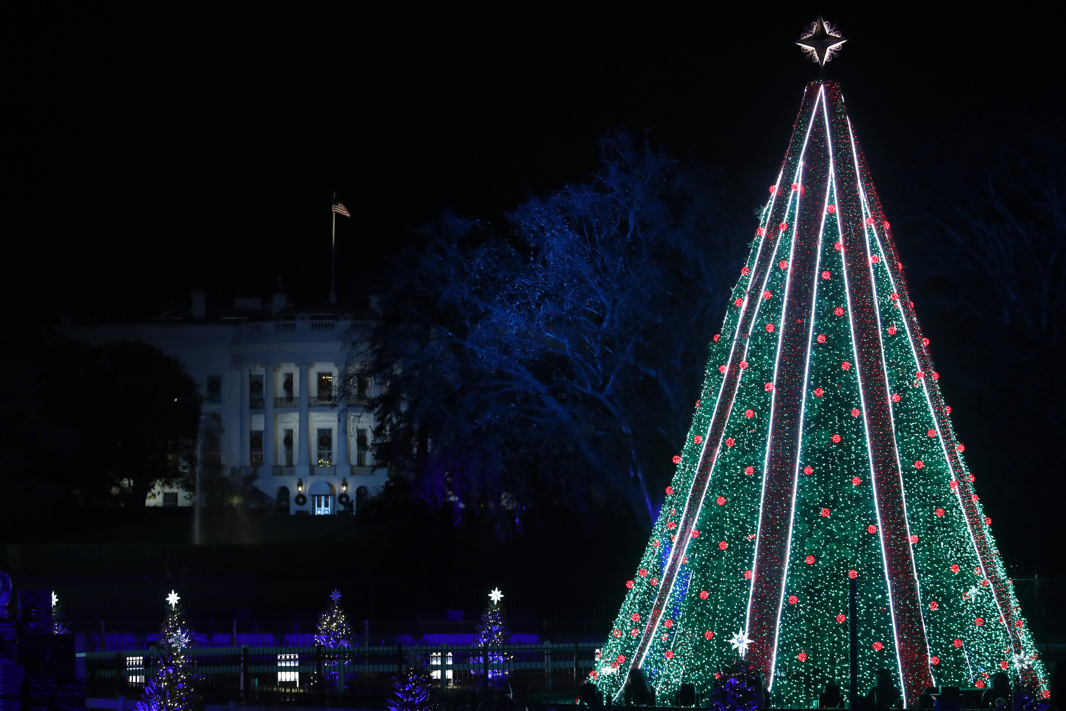 President and Mrs. Trump Attend National Christmas Tree Lighting