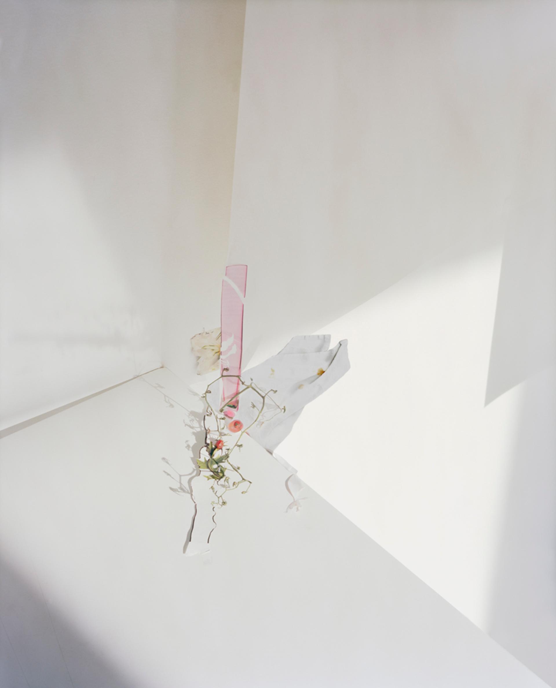 Untitled #25, 2011