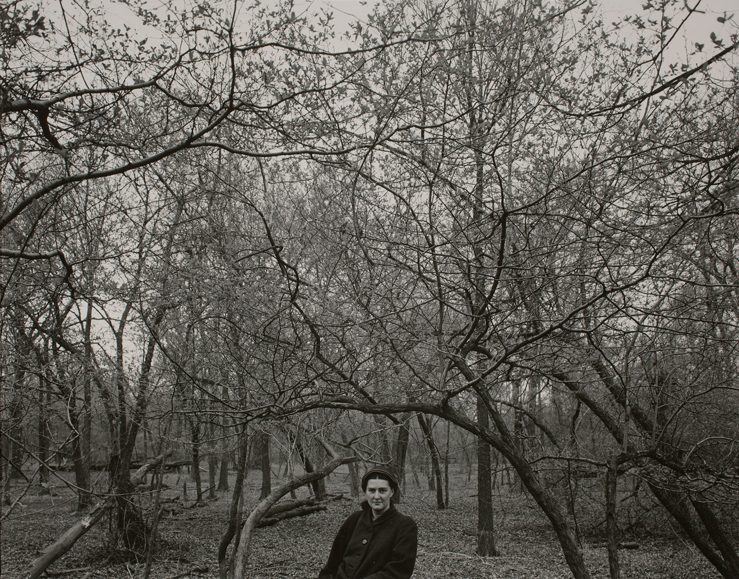 Harry Callahan at 100 Exhibition at the National Gallery of Art