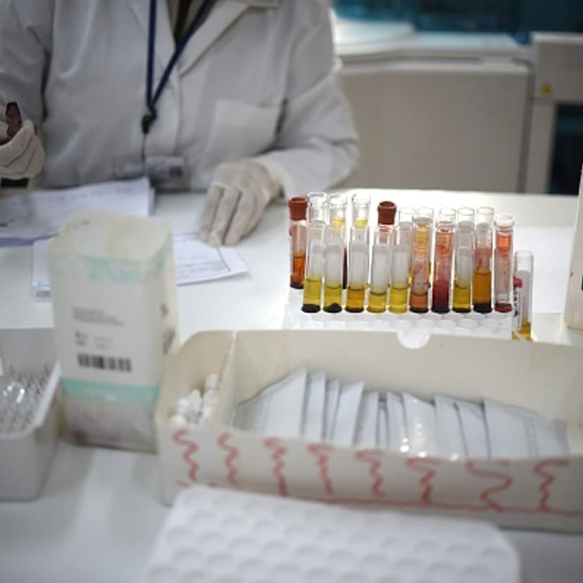 zika transmission blood transfusion brazil