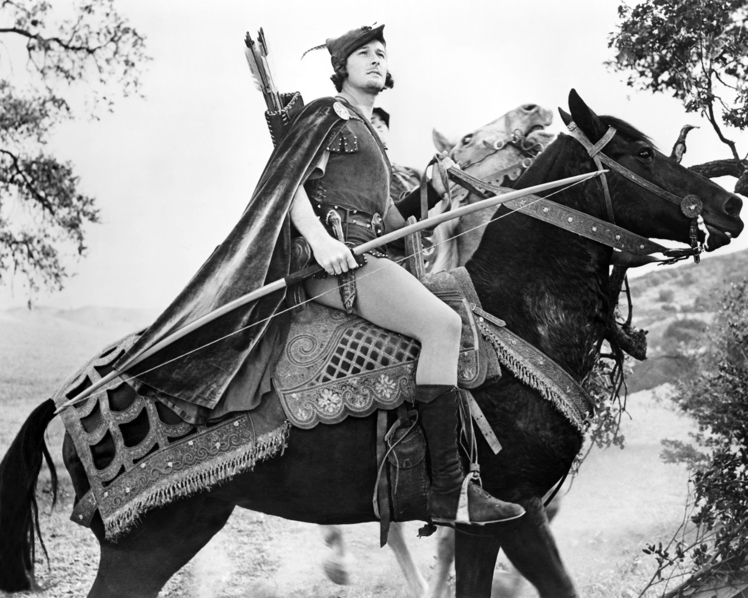 The Adventures of Robin Hood