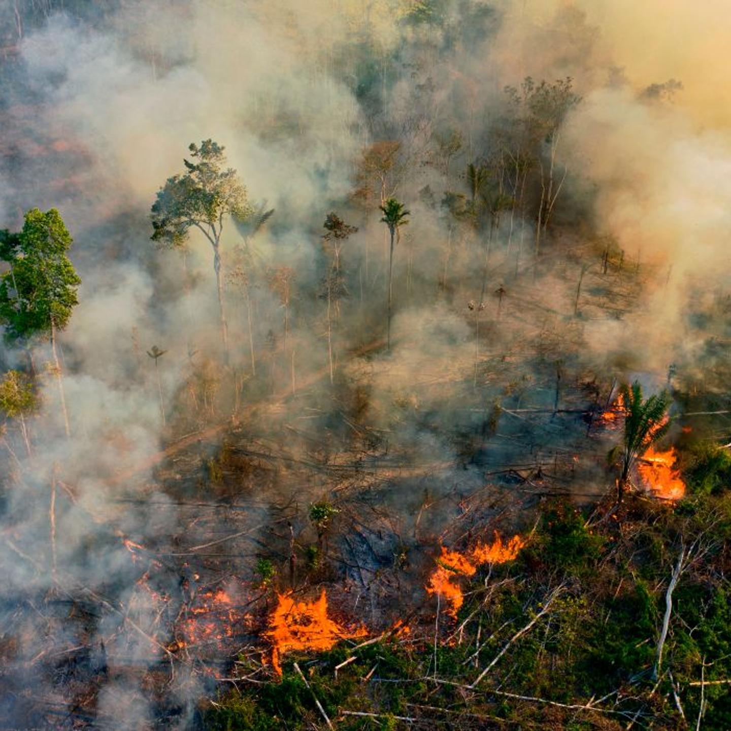 Amazon fire August 2020