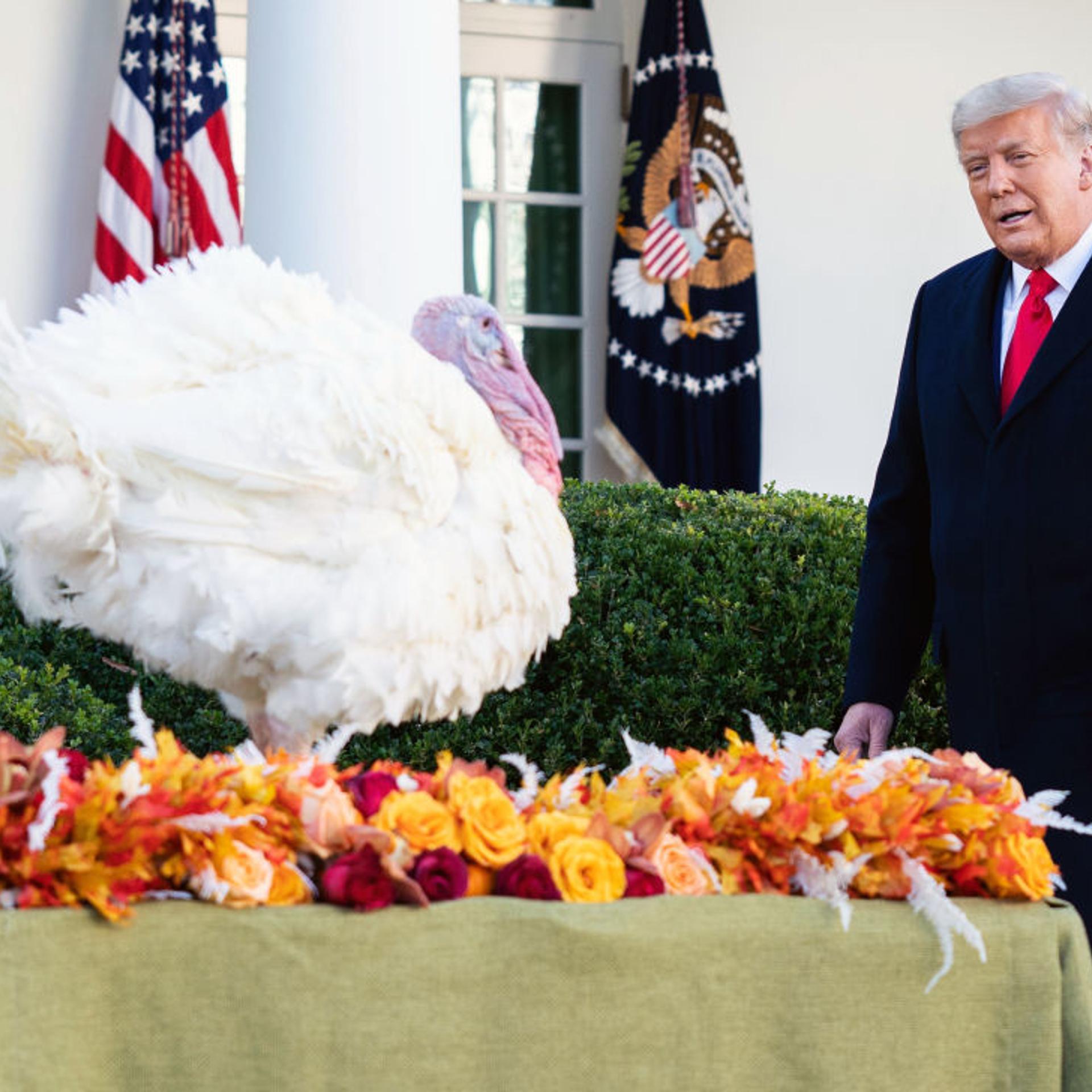 President Trump Hosts National Thanksgiving Turkey Pardon