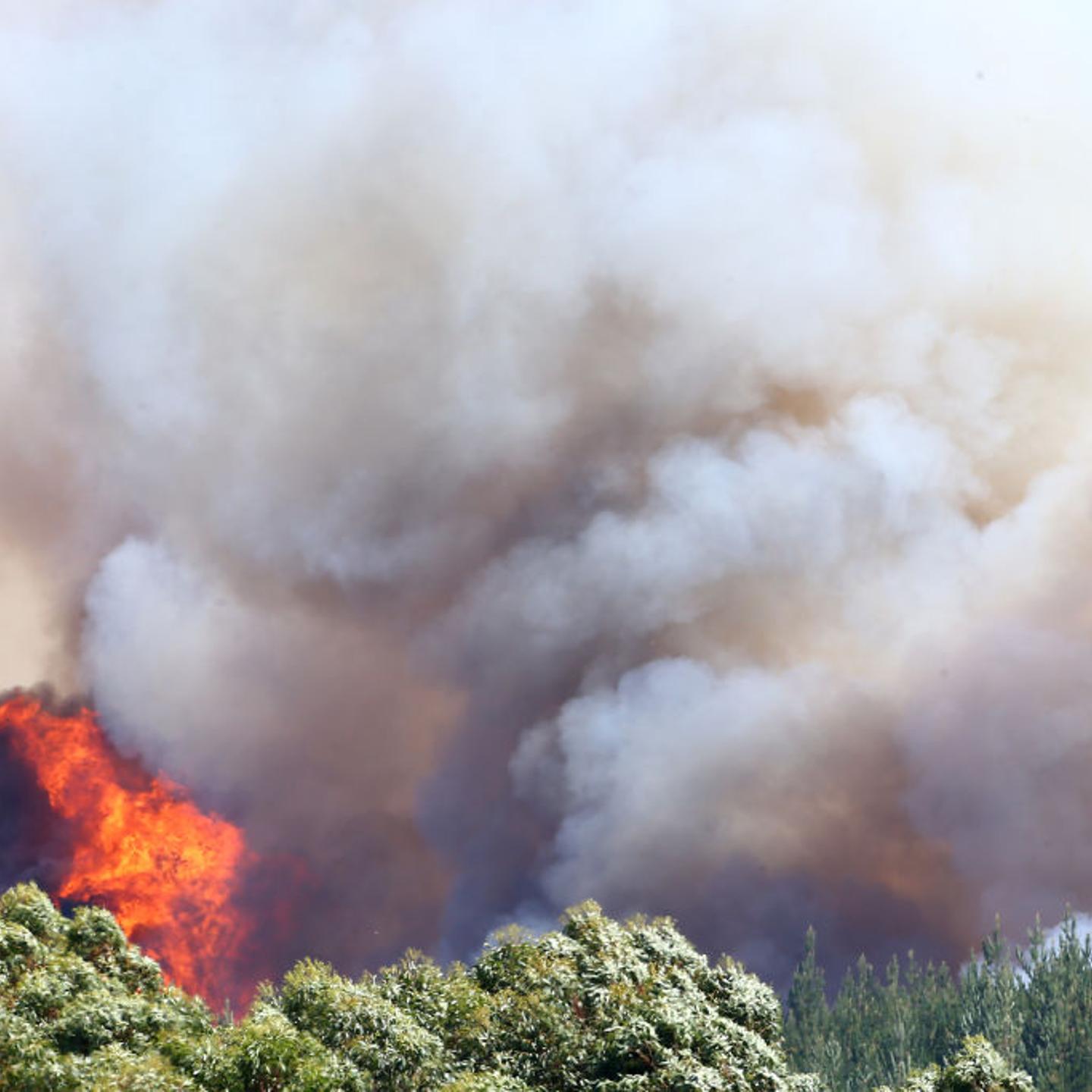 Hundreds Evacuated In Tasman District As Forest Fires Burn Near Nelson