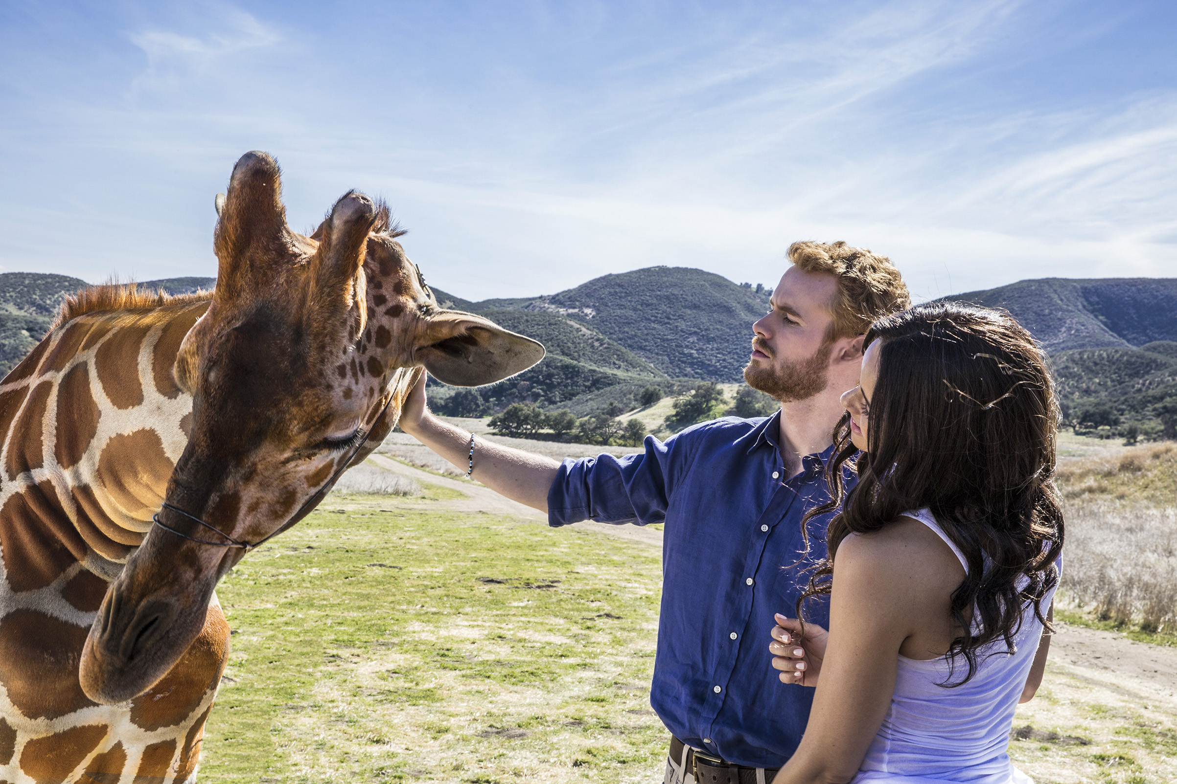 A still from Harry and Meghan: A Royal Romance on Liftime