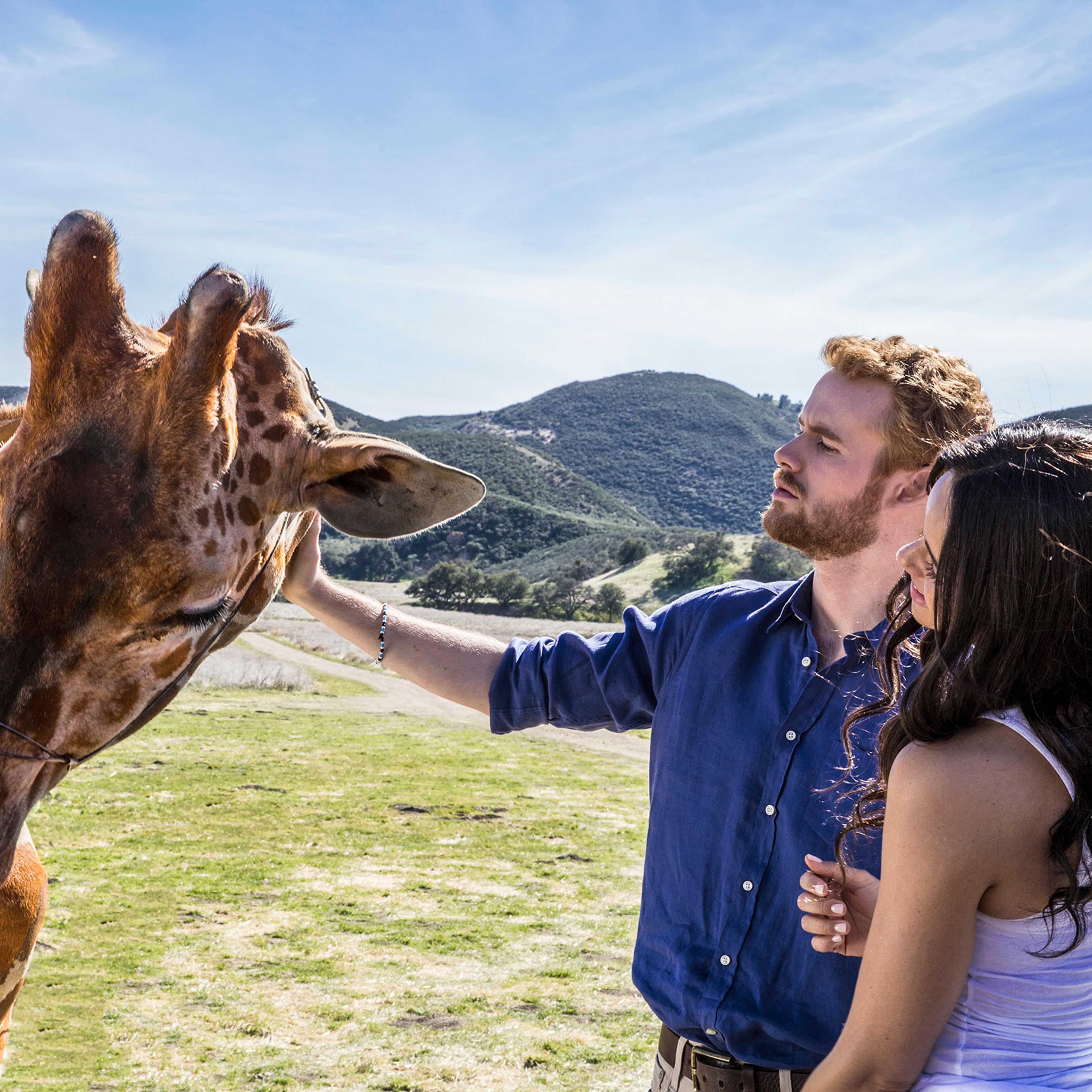 A still from Harry and Meghan: A Royal Romance on Liftime