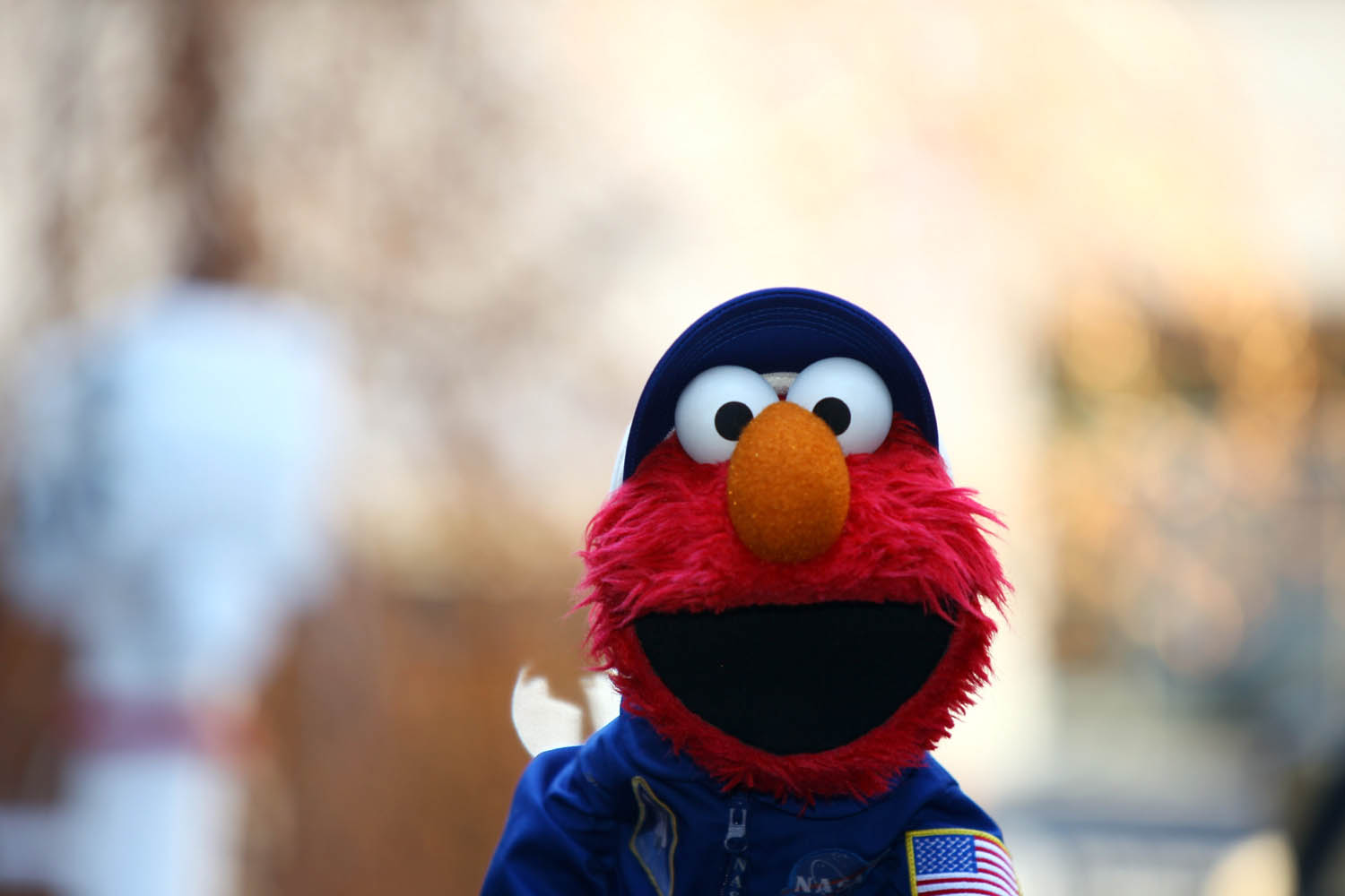Don’t Take It Out on Elmo