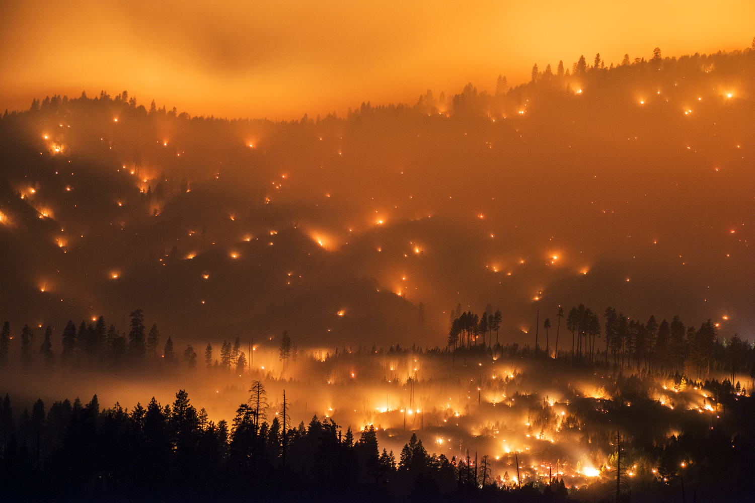 Stuart Palley, Chasing Blazes