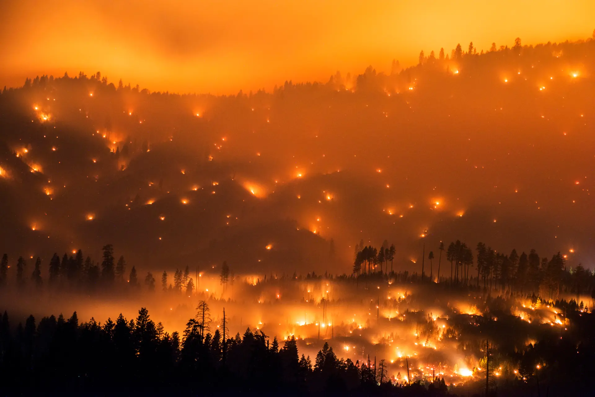 Stuart Palley Chasing Blazes: Stuart Palley's Photos of Wildfires